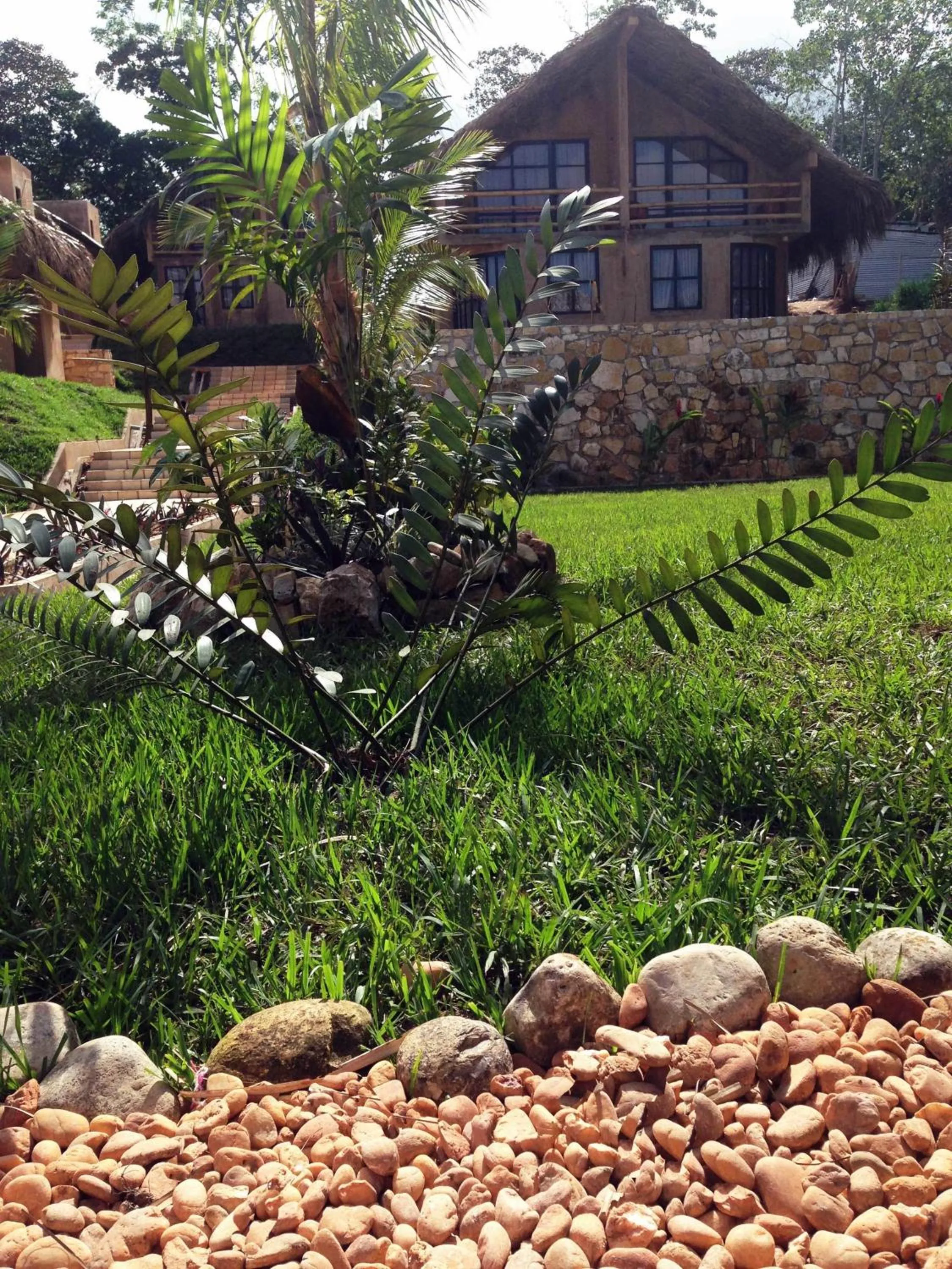 Garden in AXKAN PALENQUE, ALBERCAS, GASTRONOMIA MAR y TIERRA & TRAVEL AGENCY