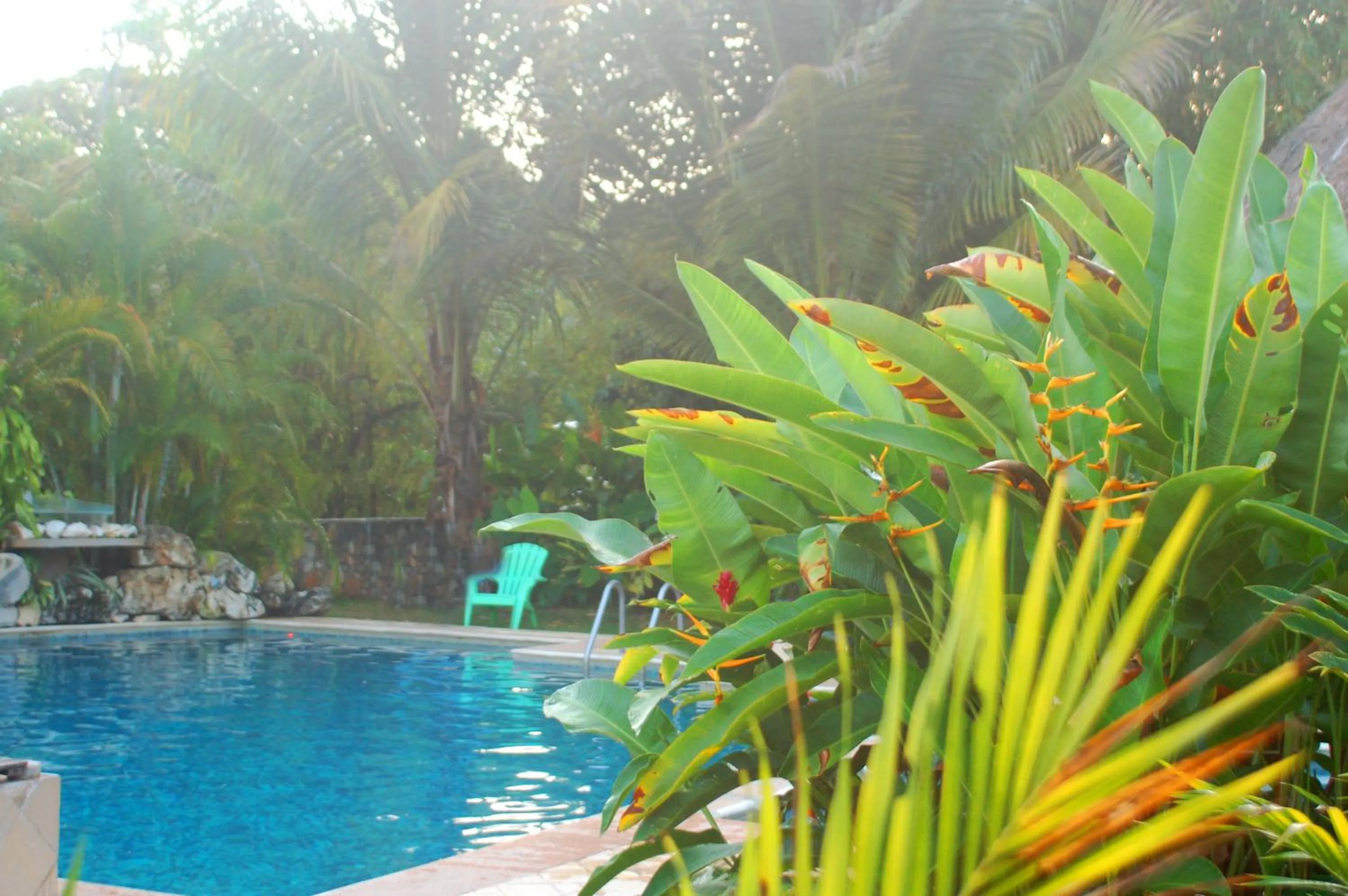 AXKAN PALENQUE, ALBERCAS, GASTRONOMIA MAR y TIERRA & TRAVEL AGENCY