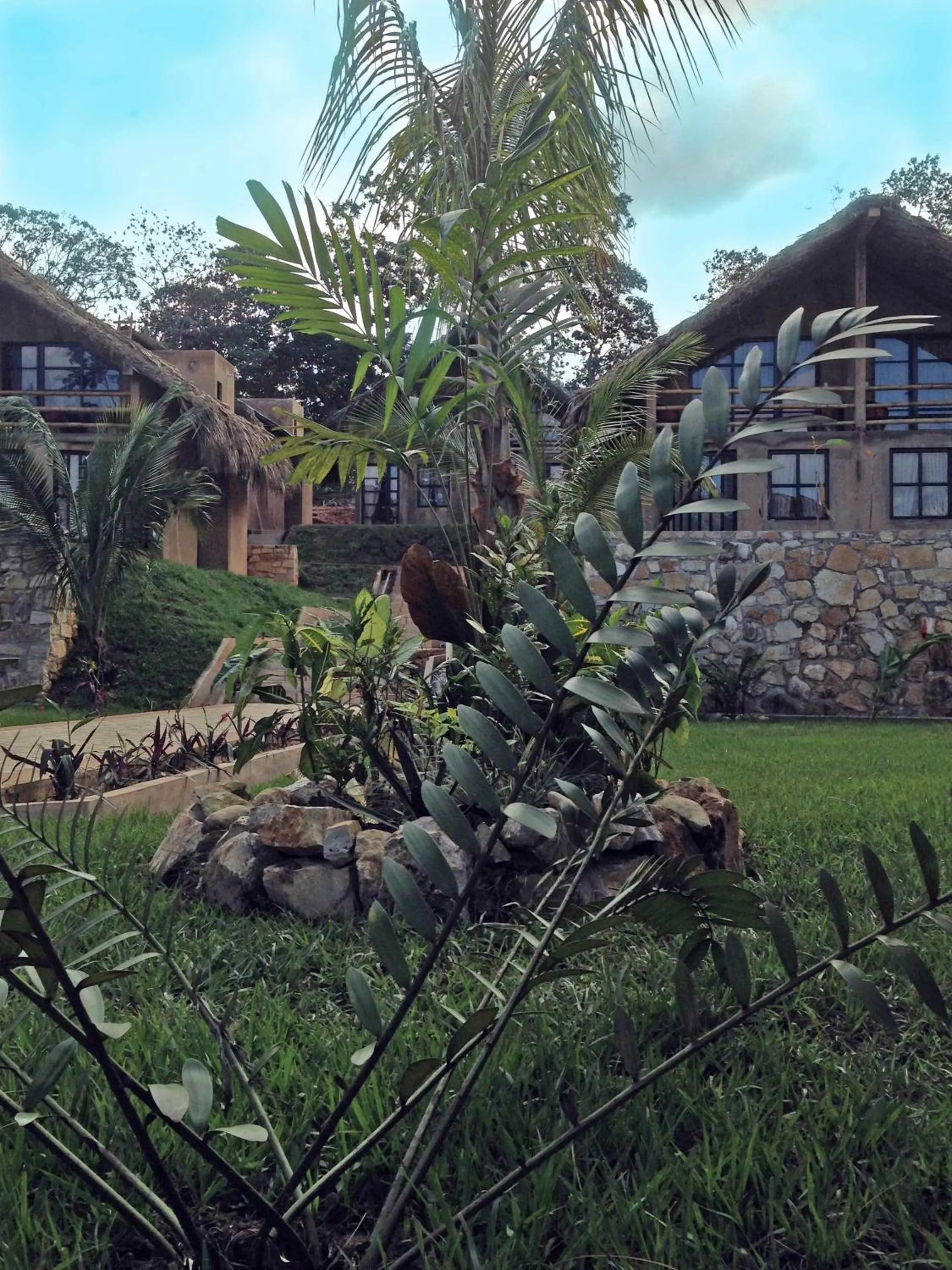 Garden in AXKAN PALENQUE, ALBERCAS, GASTRONOMIA MAR y TIERRA & TRAVEL AGENCY