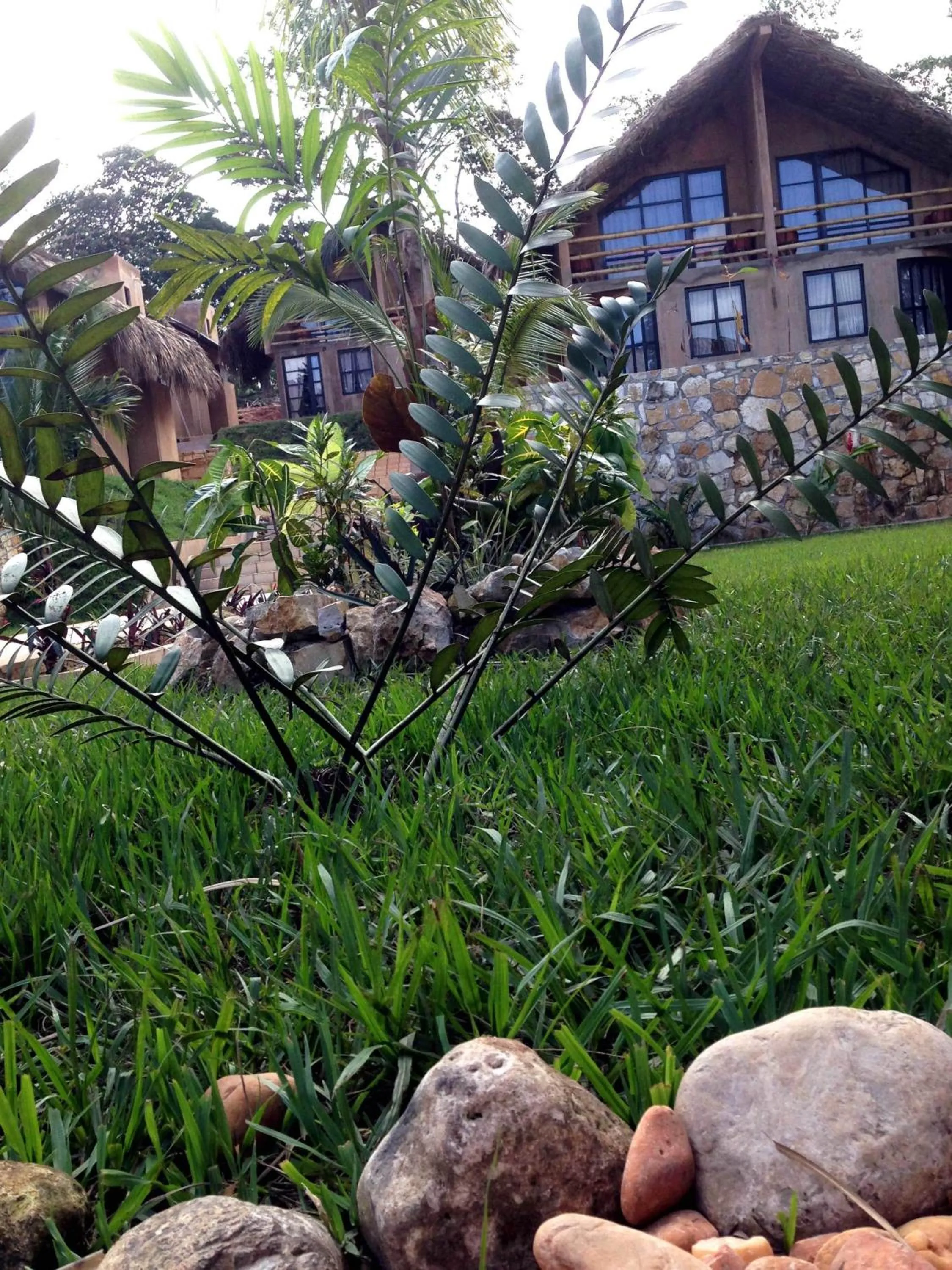 Garden in AXKAN PALENQUE, ALBERCAS, GASTRONOMIA MAR y TIERRA & TRAVEL AGENCY