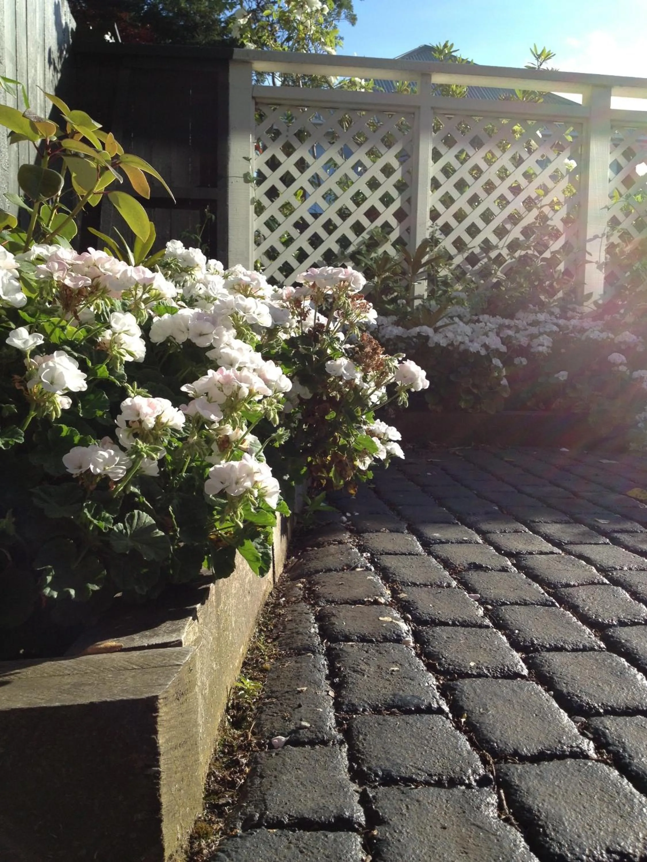 Facade/entrance in Heriot Lane City Apartments