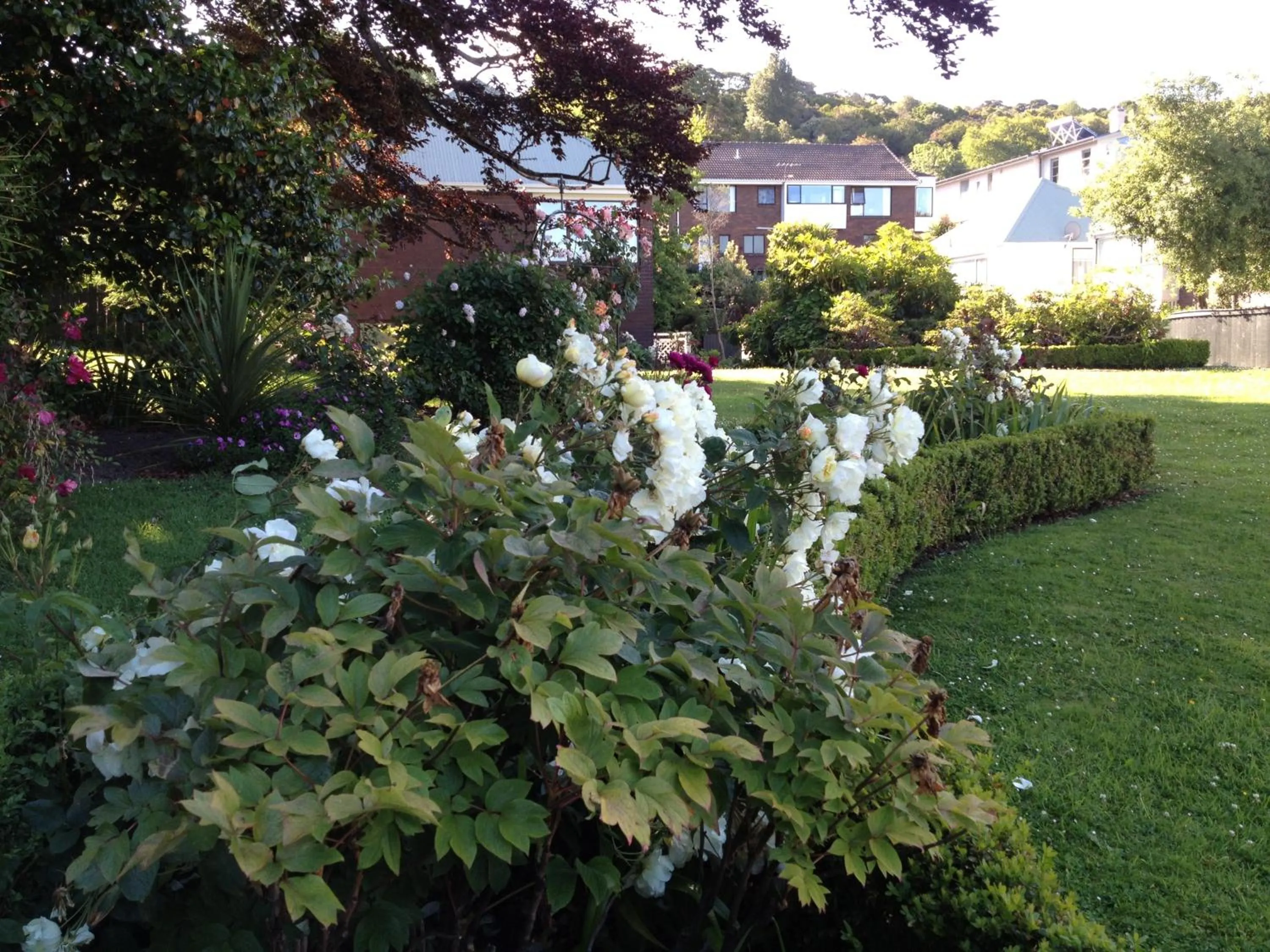 Facade/entrance in Heriot Lane City Apartments