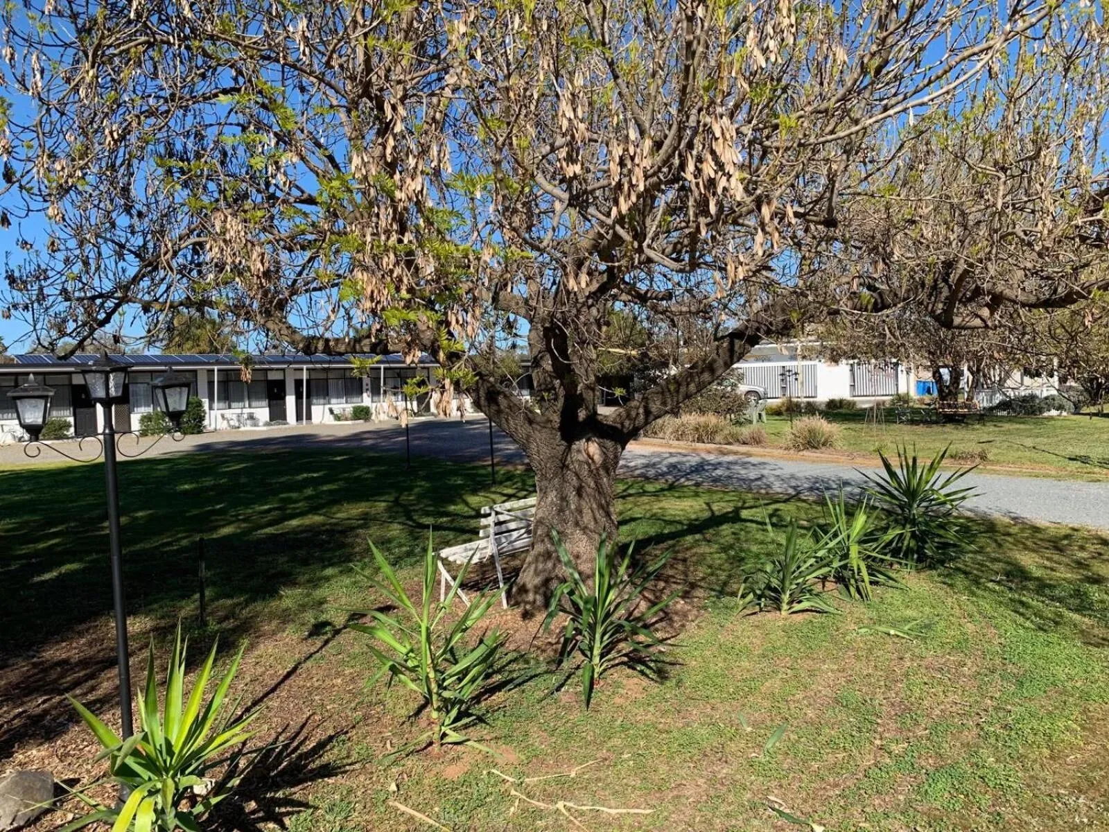 Garden in Gazebo Motor Inn - Strathmerton
