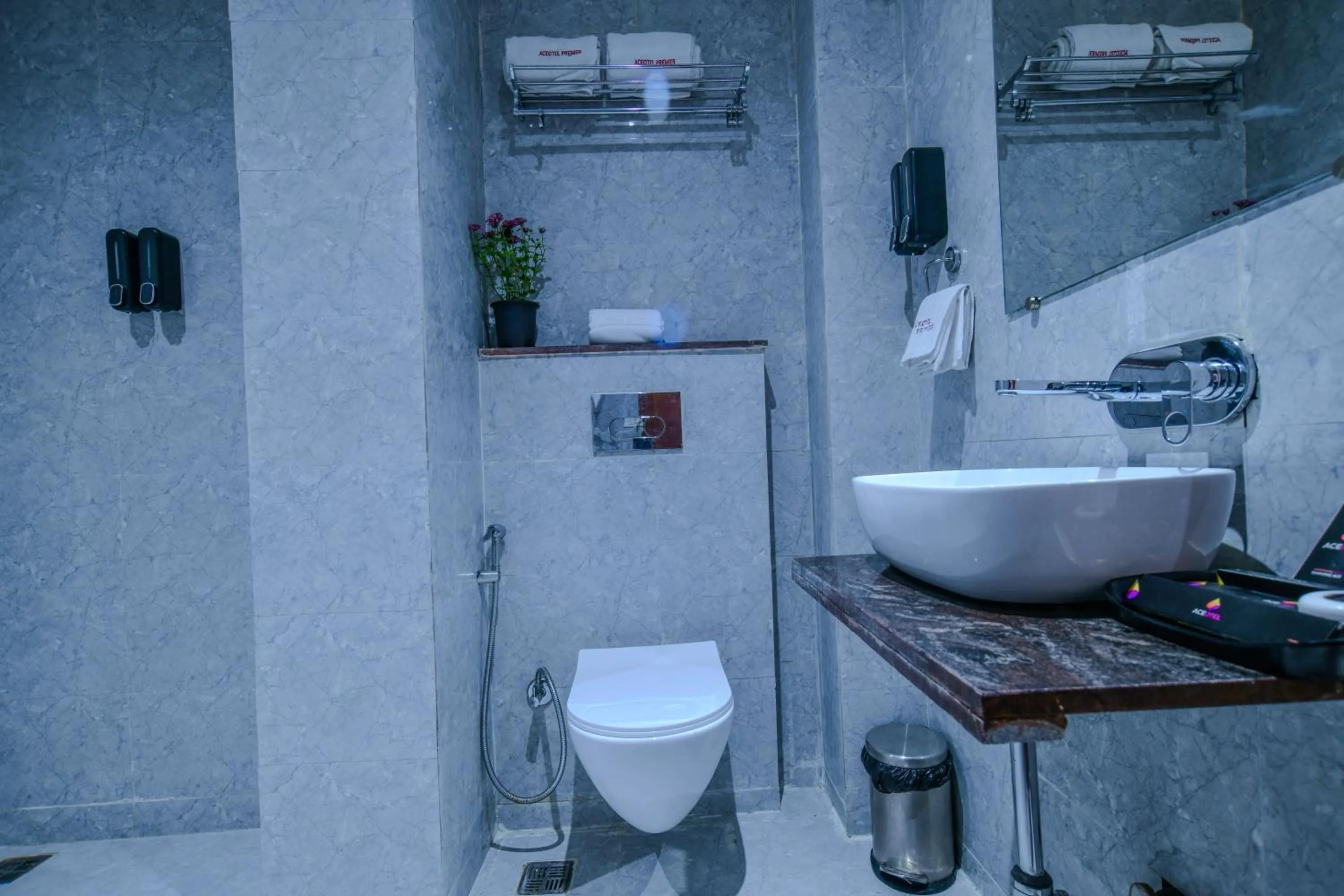 Aceotel Premier, Vijay Nagar