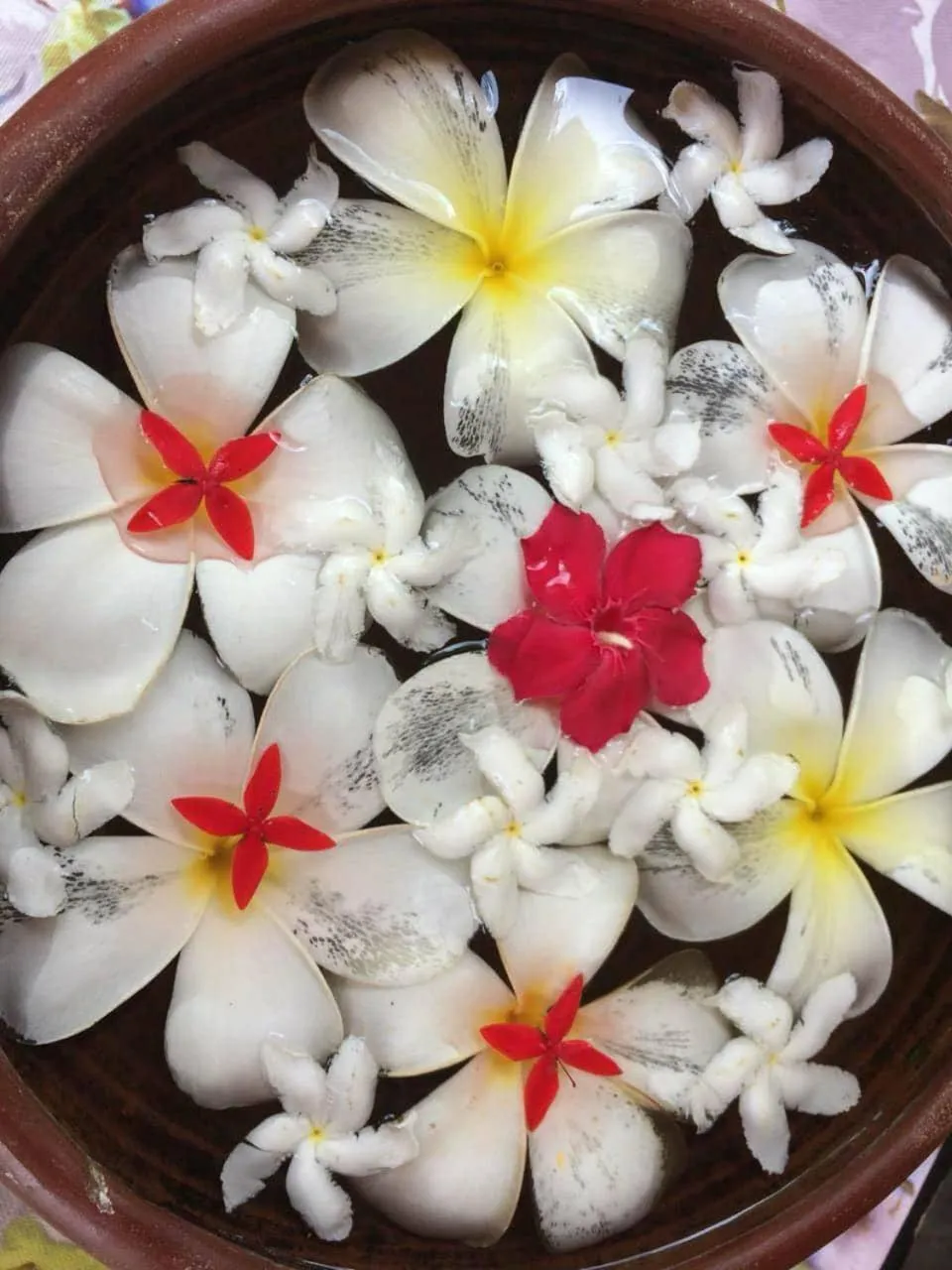 Spa and wellness centre/facilities in Residence Jasmine