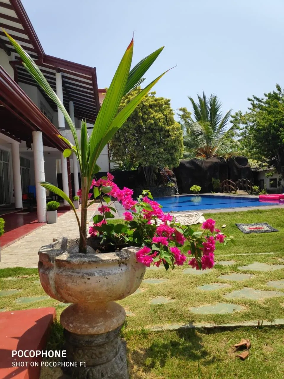 Swimming pool in Residence Jasmine