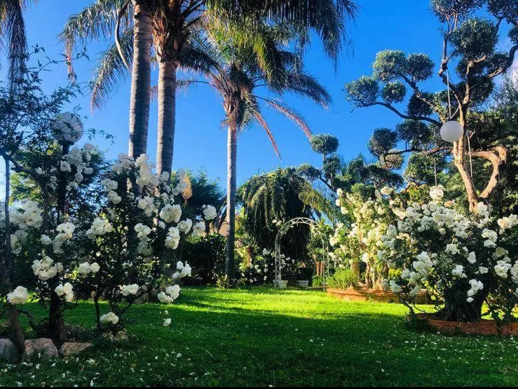 Garden in Villa Megna - Green Paradise B&B