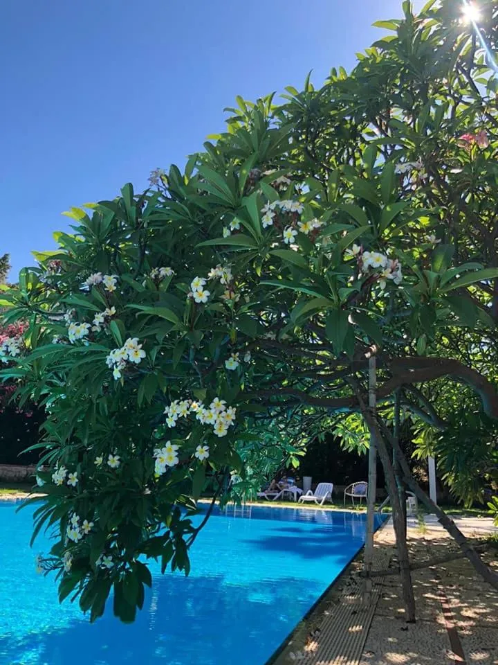 Swimming pool in Villa Megna - Green Paradise B&B