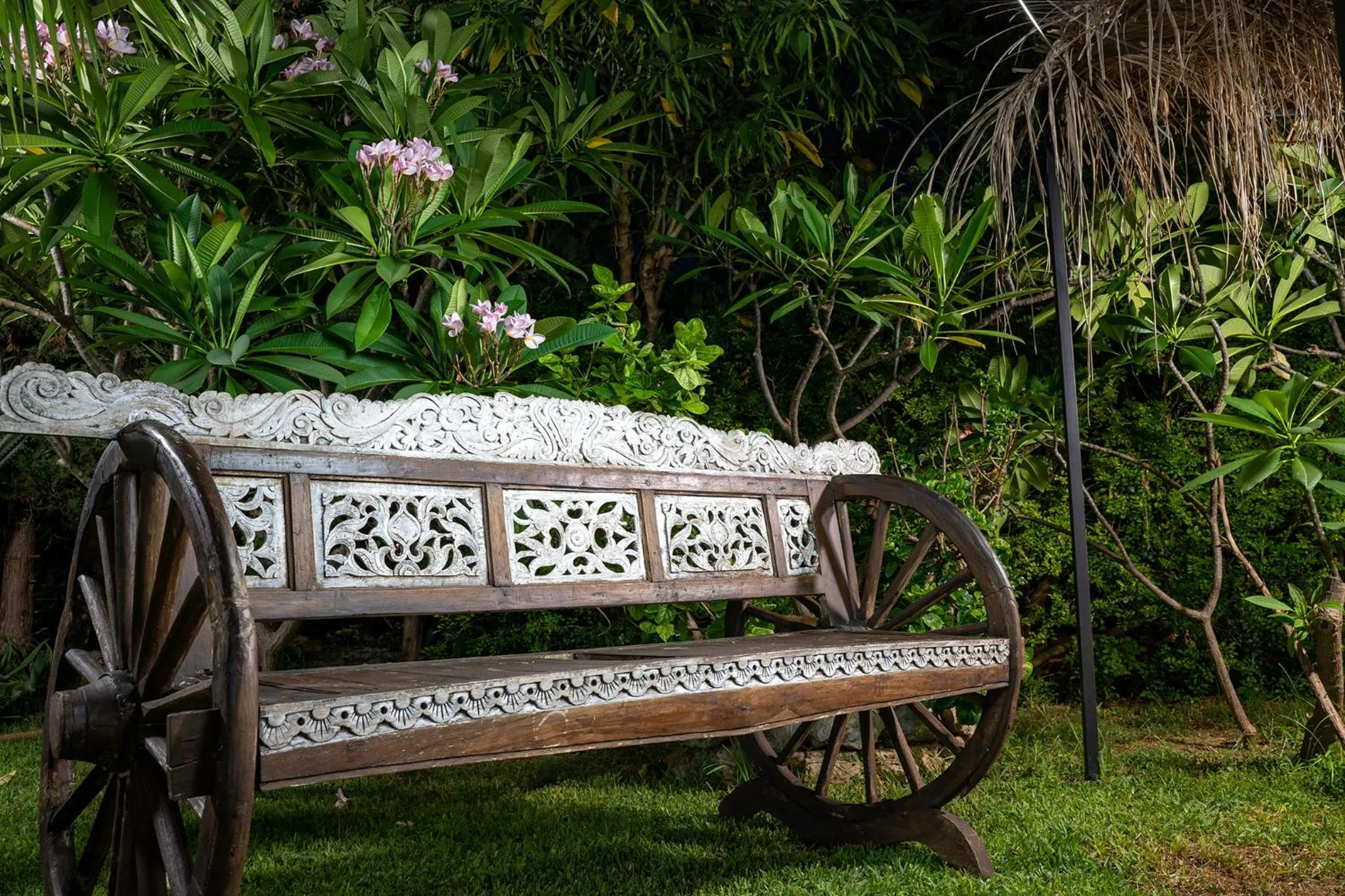 Garden in Villa Megna - Green Paradise B&B