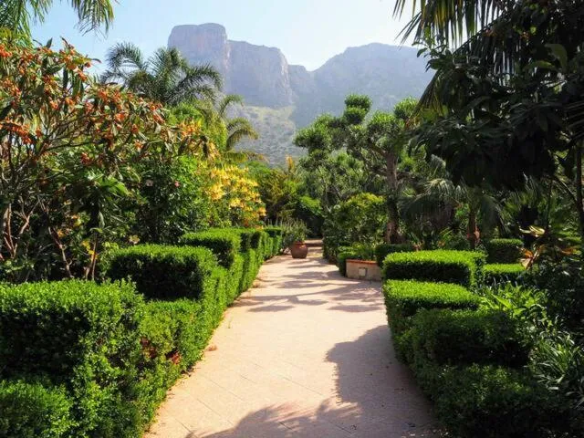 Garden in Villa Megna - Green Paradise B&B