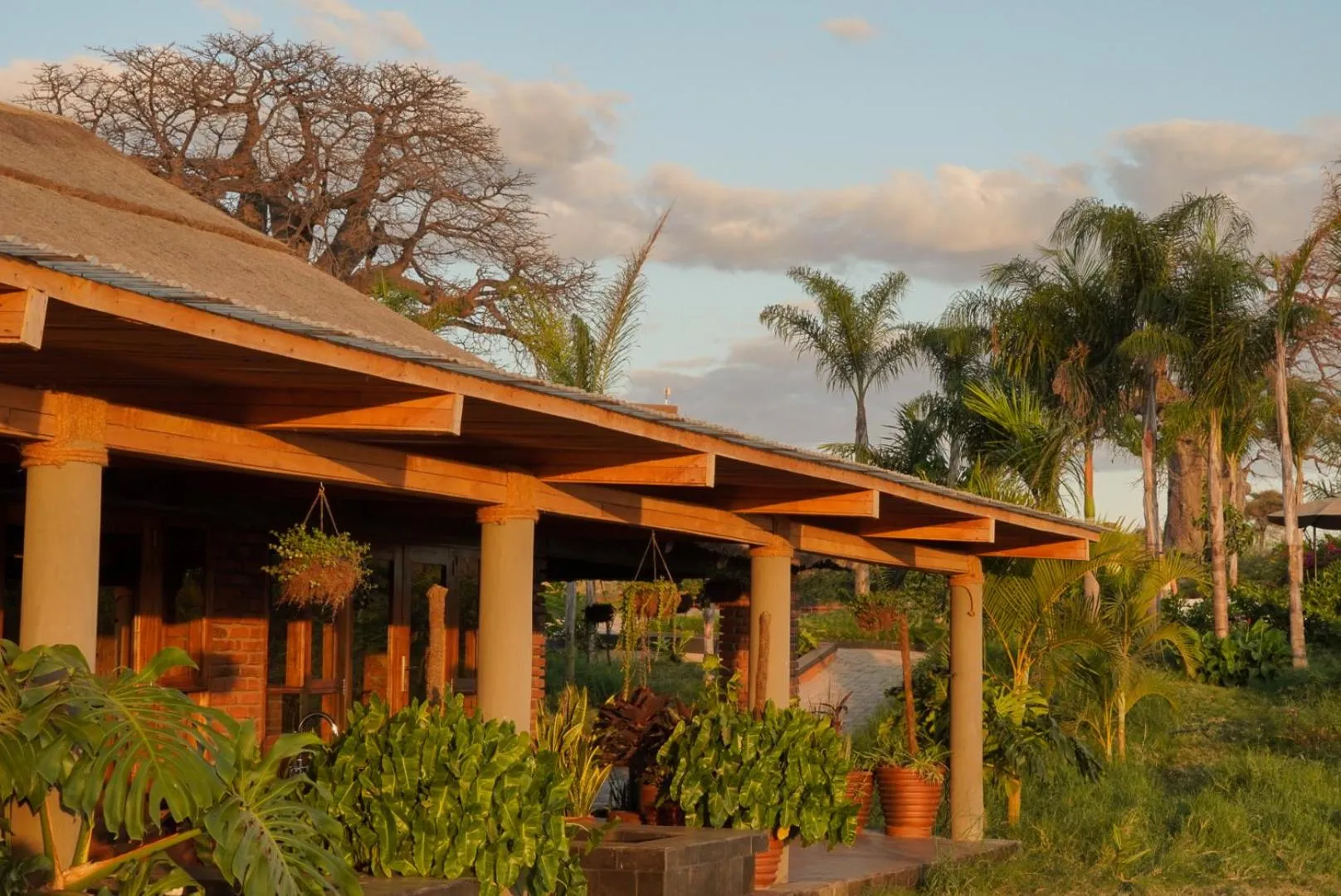 Spa and wellness centre/facilities in Suricata Boma Lodge
