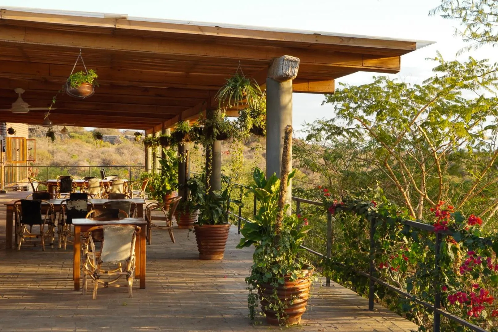 Restaurant/places to eat in Suricata Boma Lodge