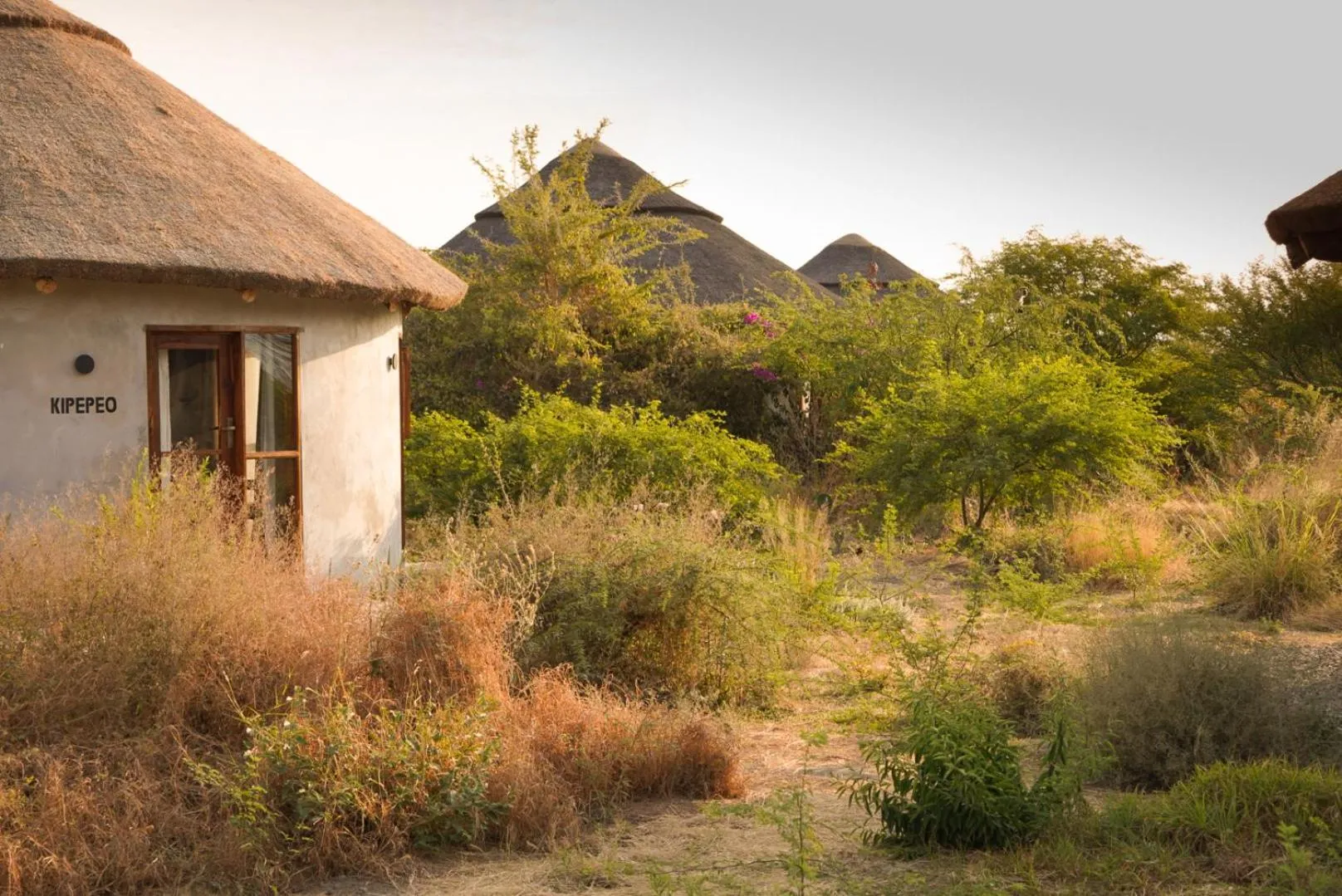 Property building in Suricata Boma Lodge