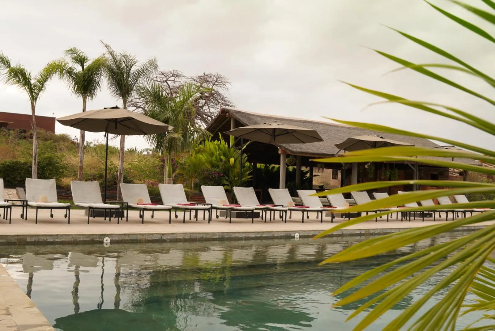 Lake view in Suricata Boma Lodge
