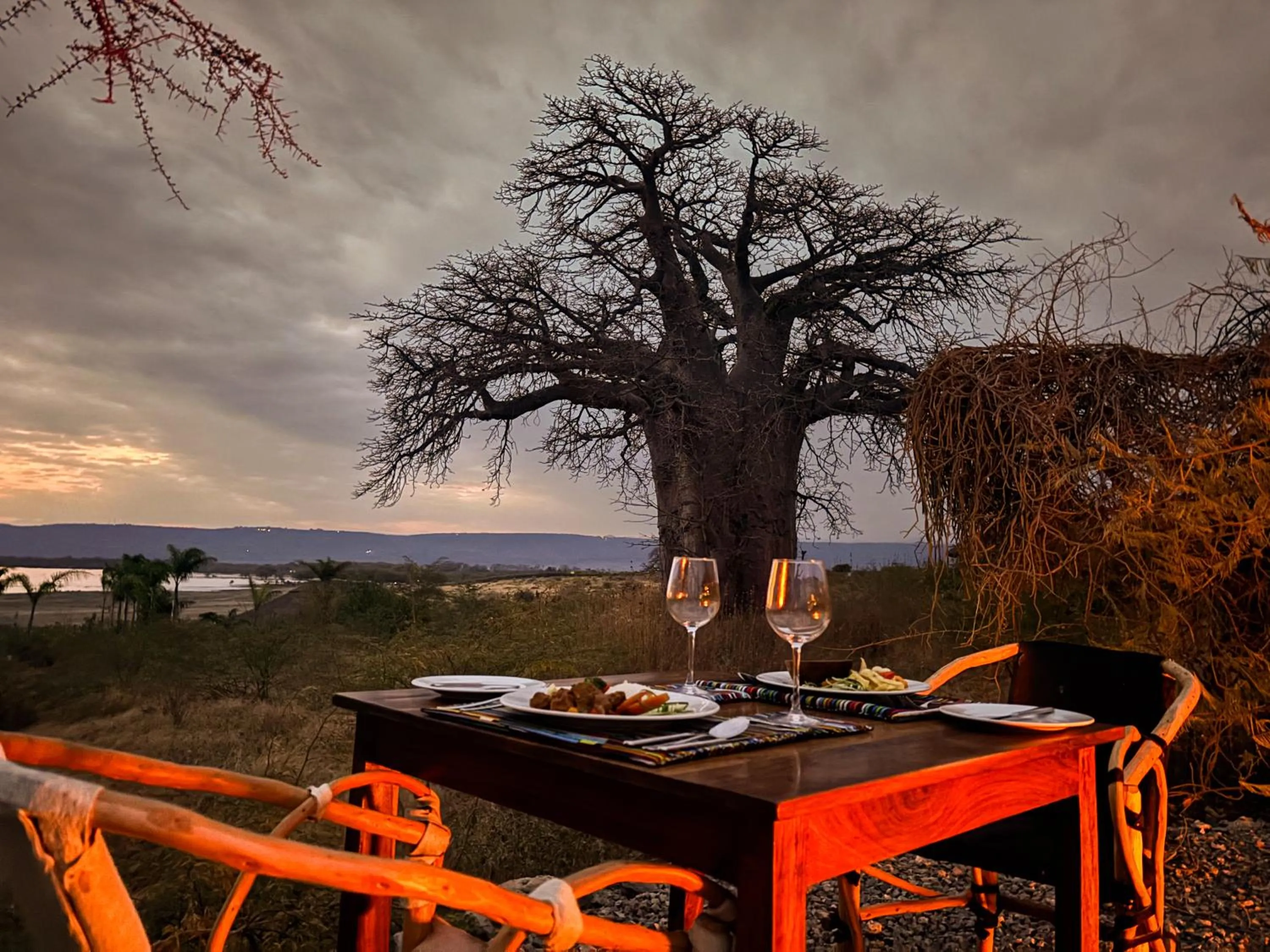 Dining area in Suricata Boma Lodge