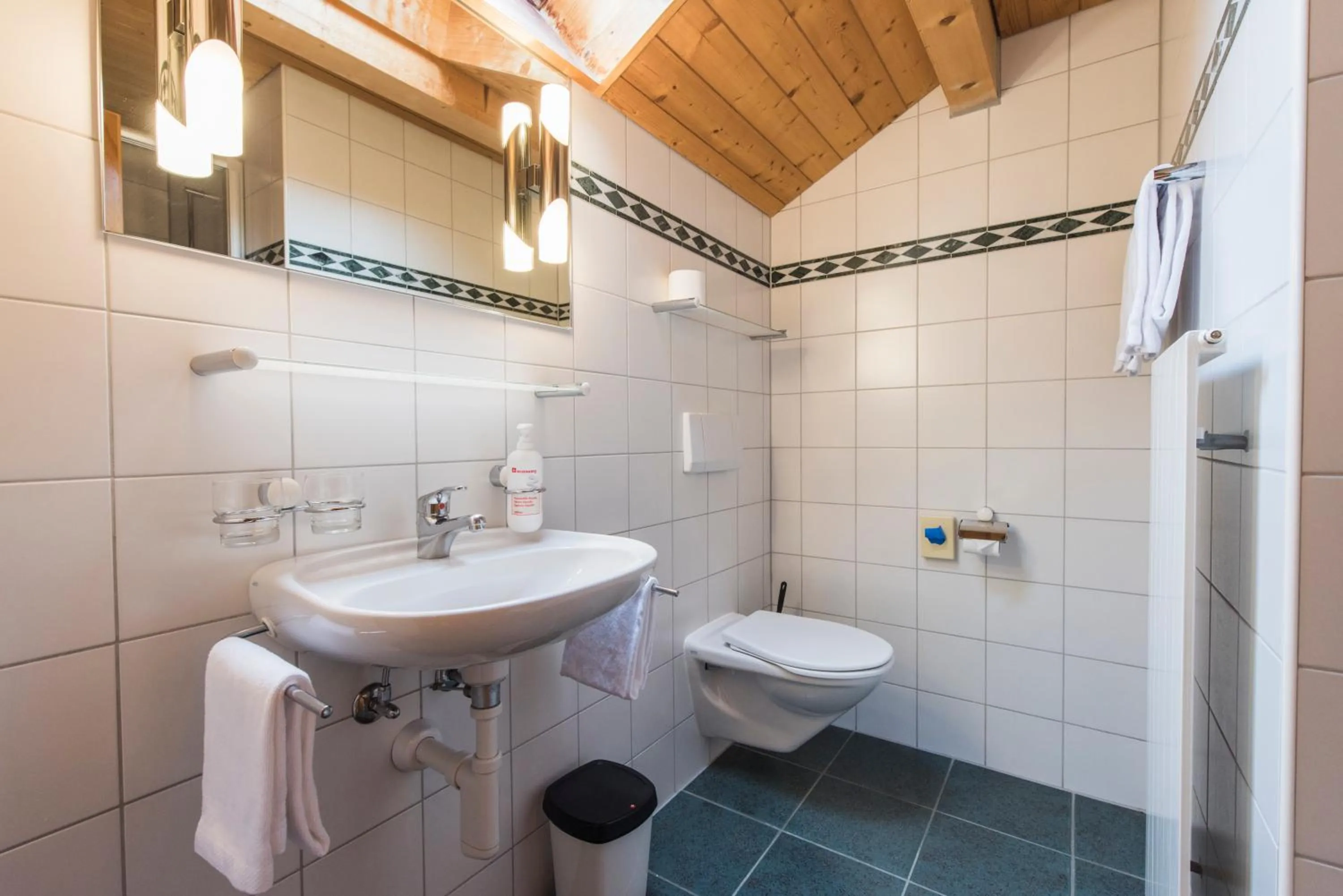 Bathroom in Hotel Alpenrose beim Ballenberg