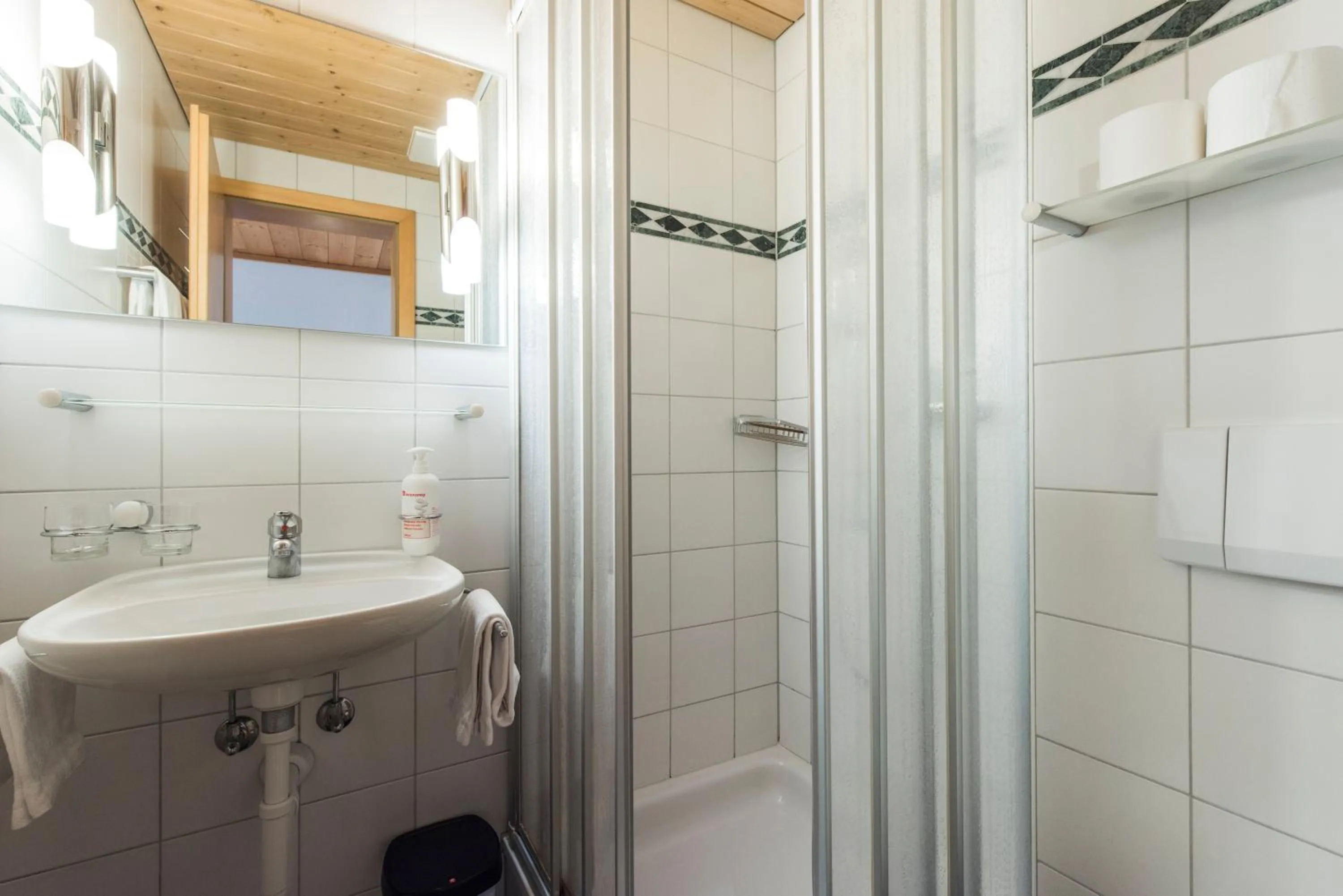 Shower in Hotel Alpenrose beim Ballenberg