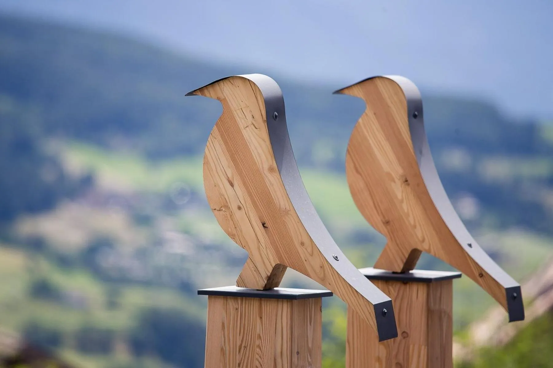 Decorative detail in Sonus Alpis - Adults Only