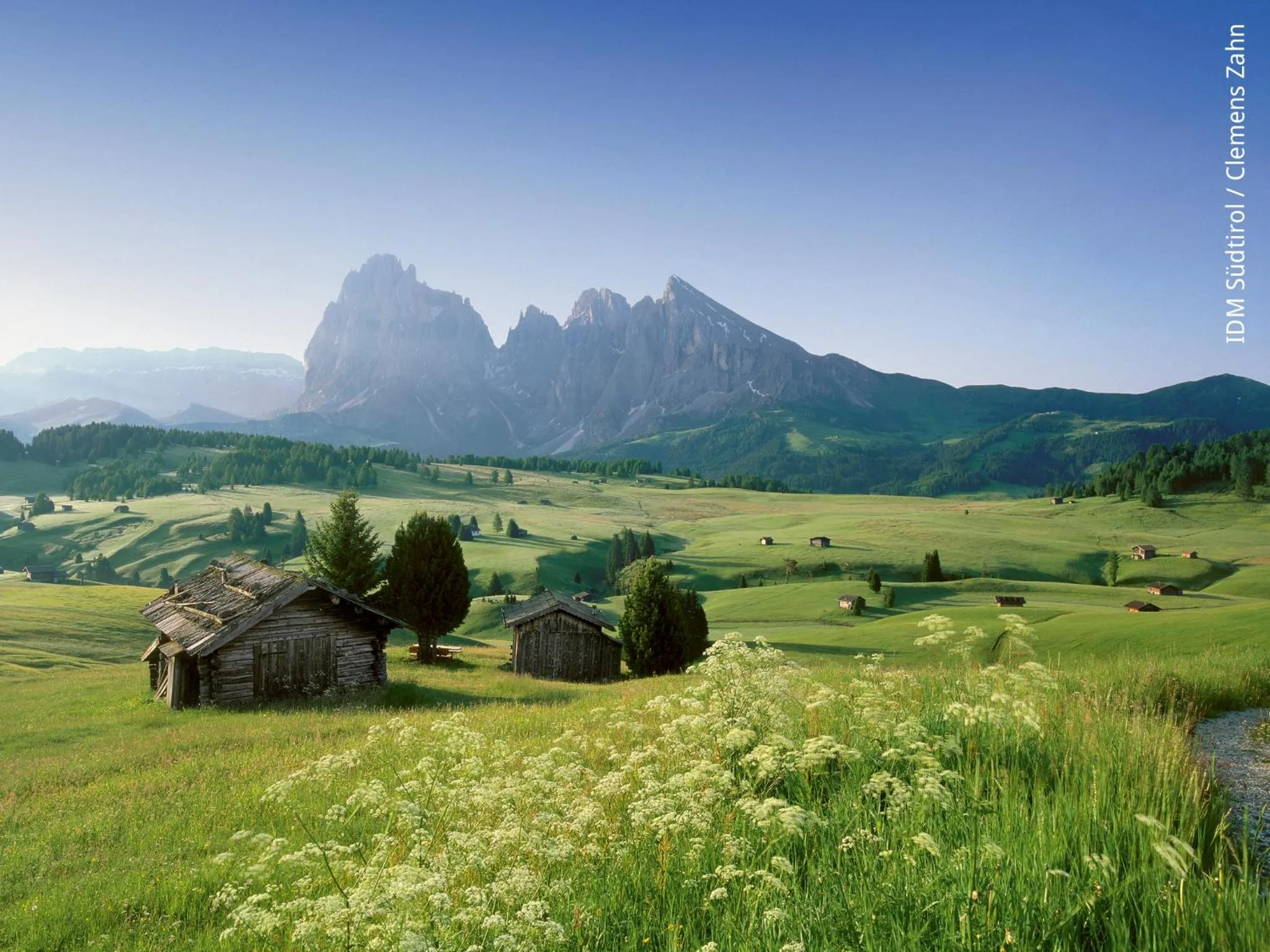 Summer in Sonus Alpis - Adults Only