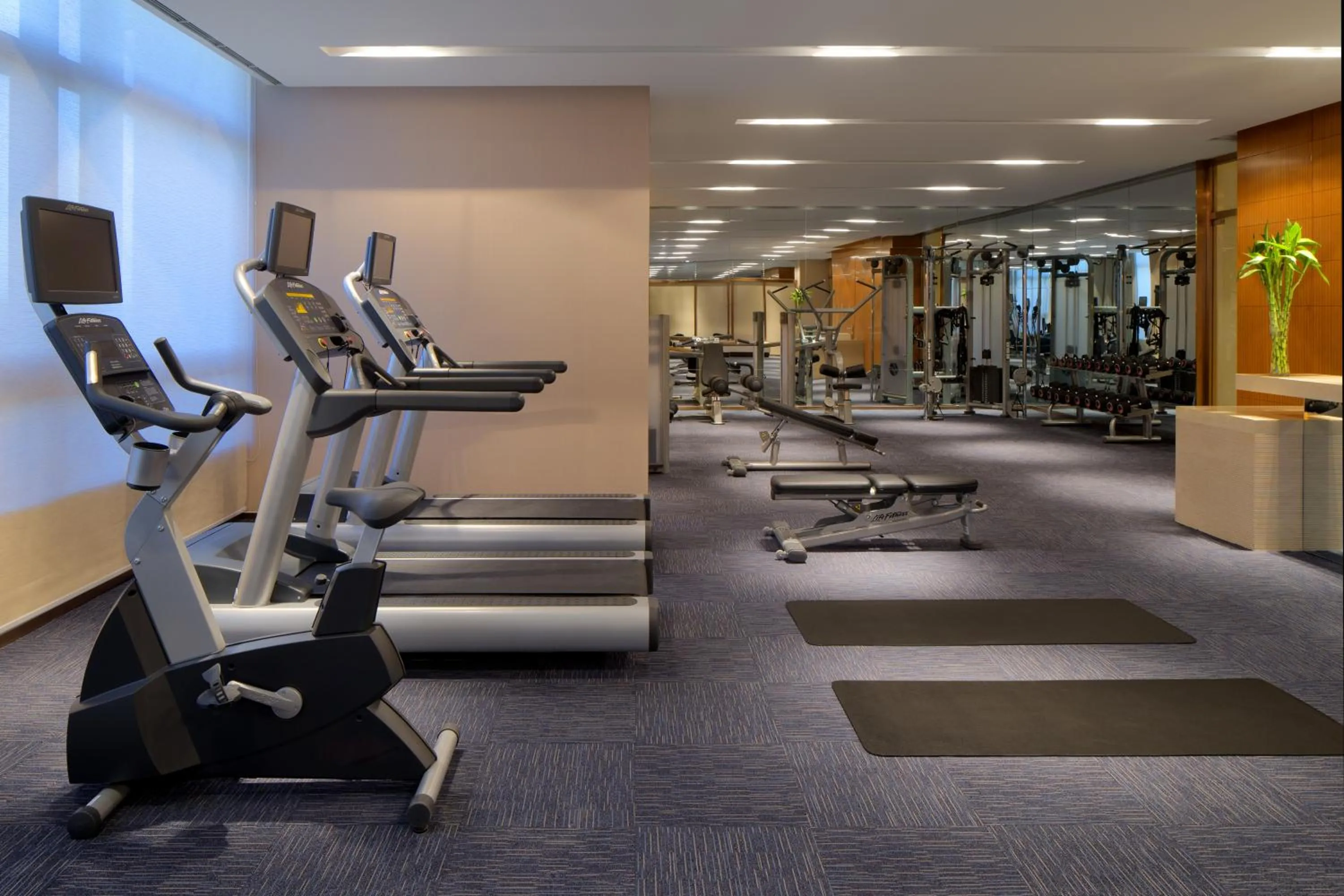 Fitness centre/facilities, Fitness Center/Facilities in Radisson Blu Hotel Kashgar