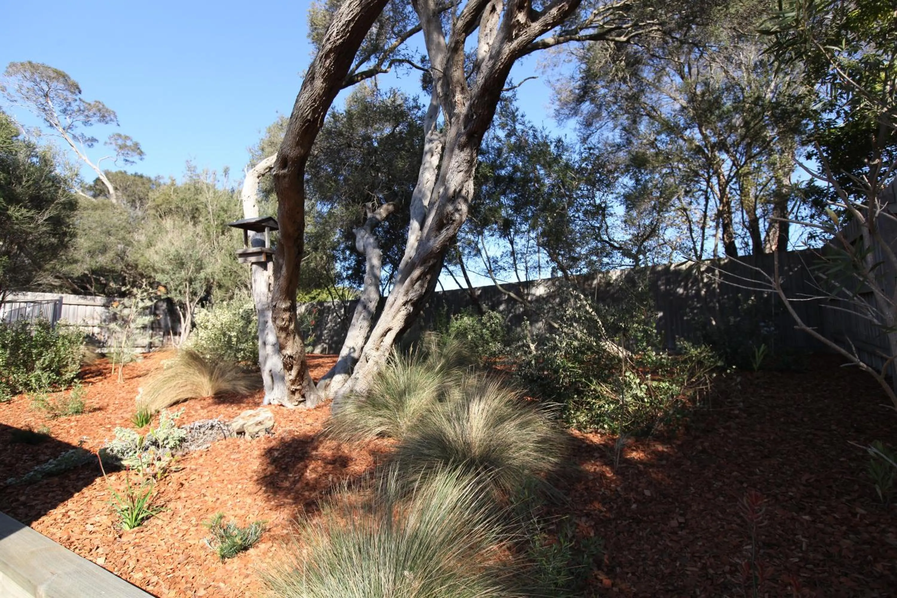 Garden in Sunny Side Up B&B Rye
