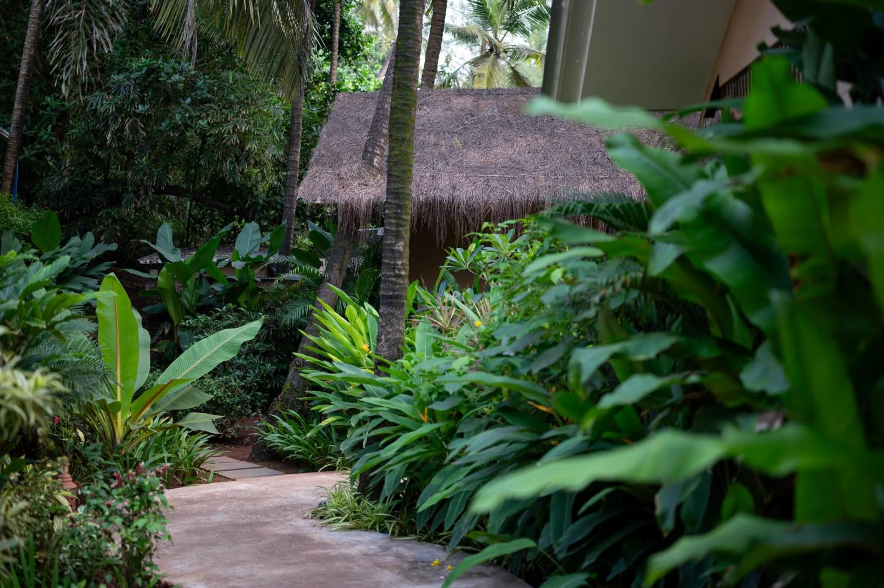 Garden in Palma Beach Resort