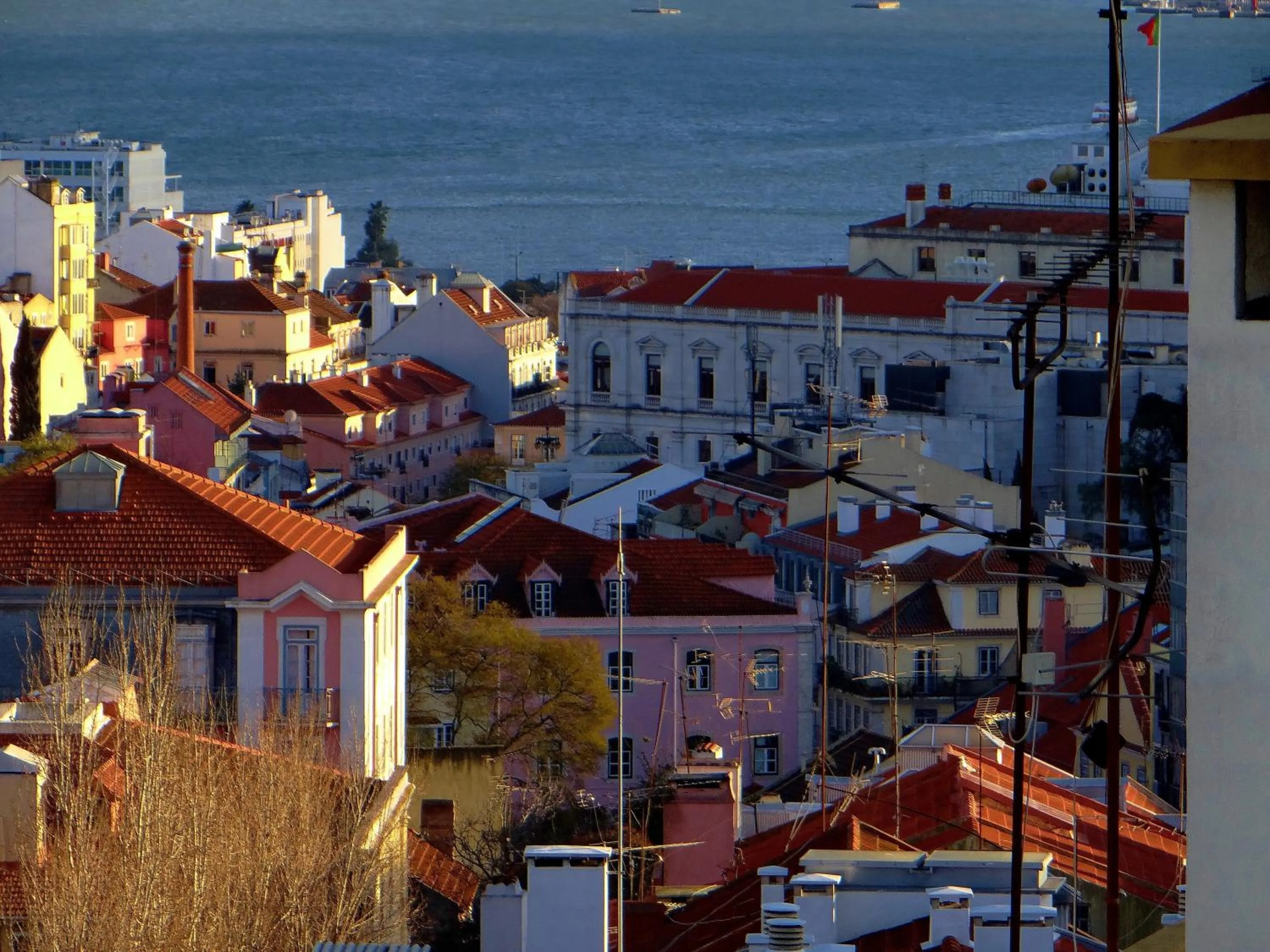 View (from property/room) in DOME São Bento