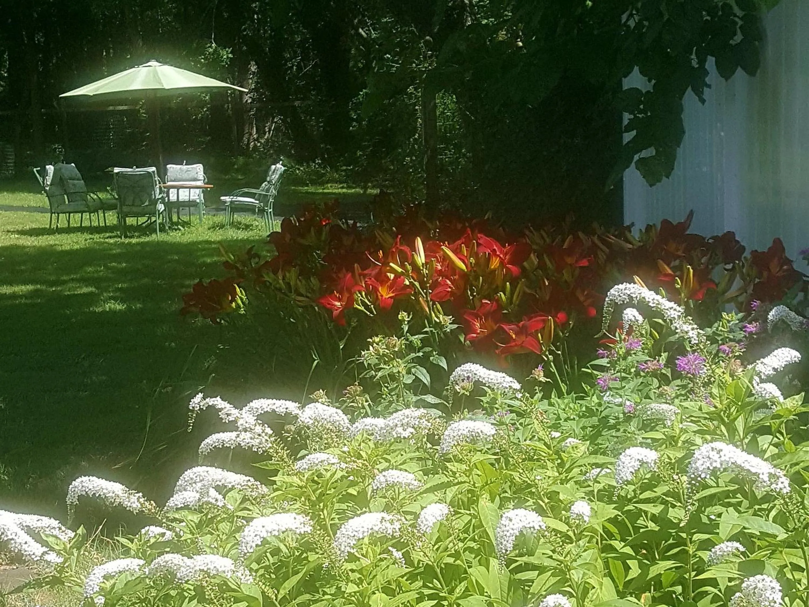 Other in Haven Point Inn