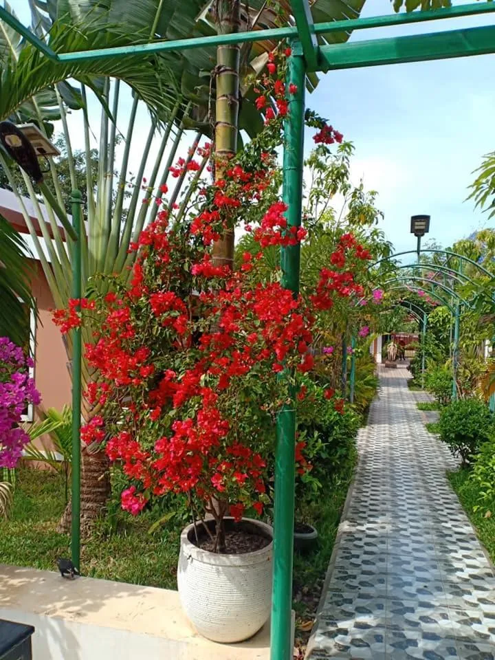 Sun Boutique Resort & Restaurant