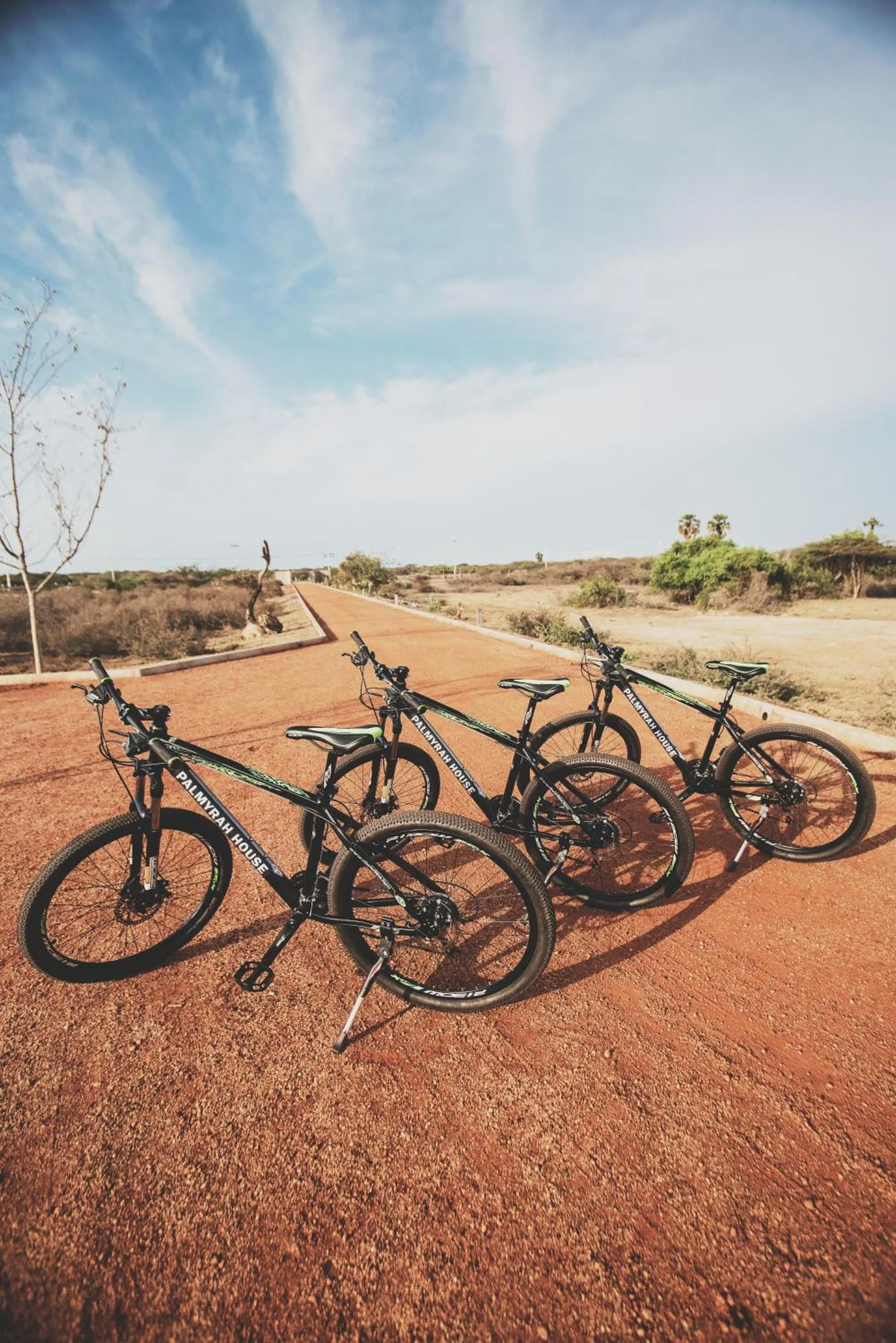 Activities in The Palmyrah House