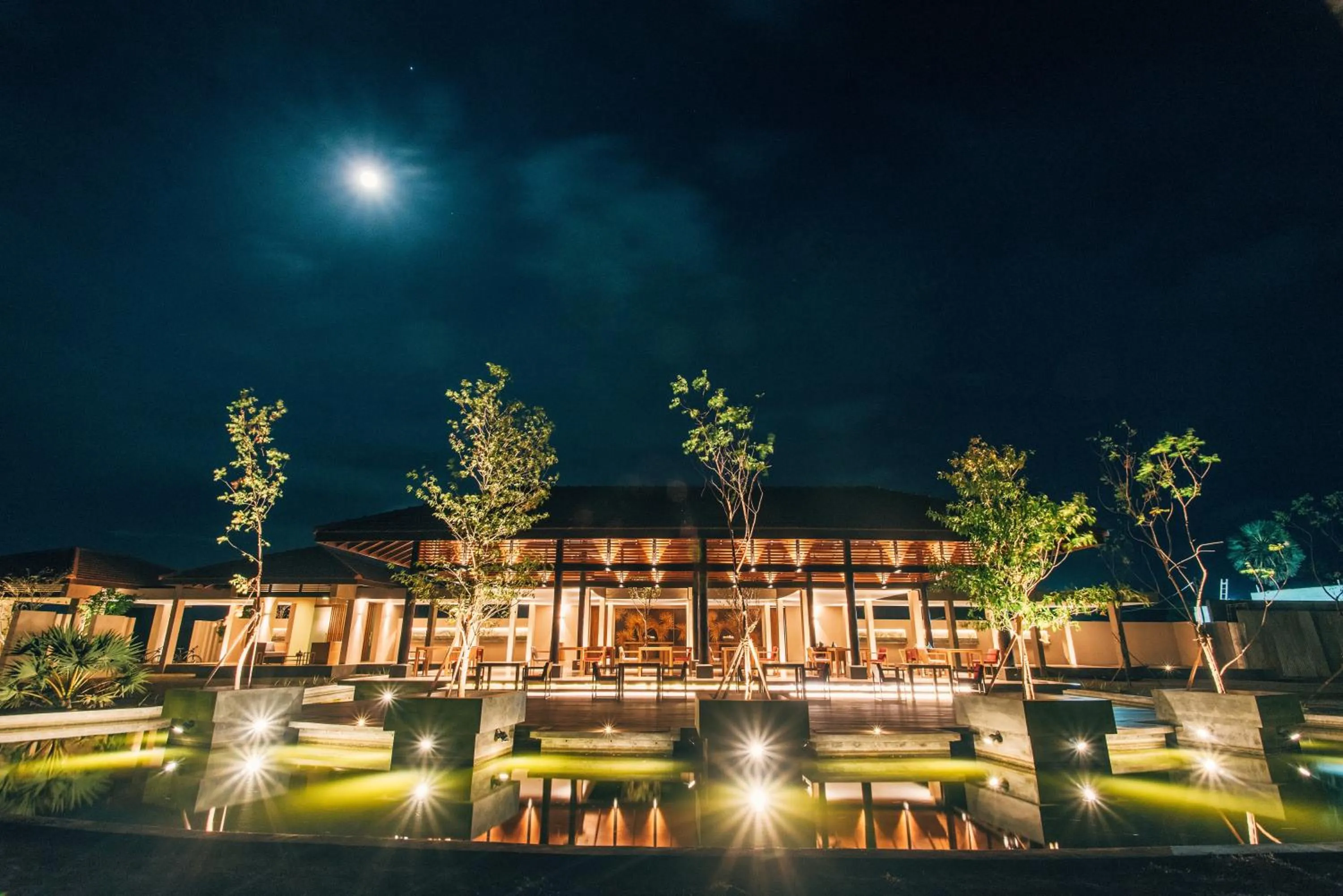 Garden view in The Palmyrah House