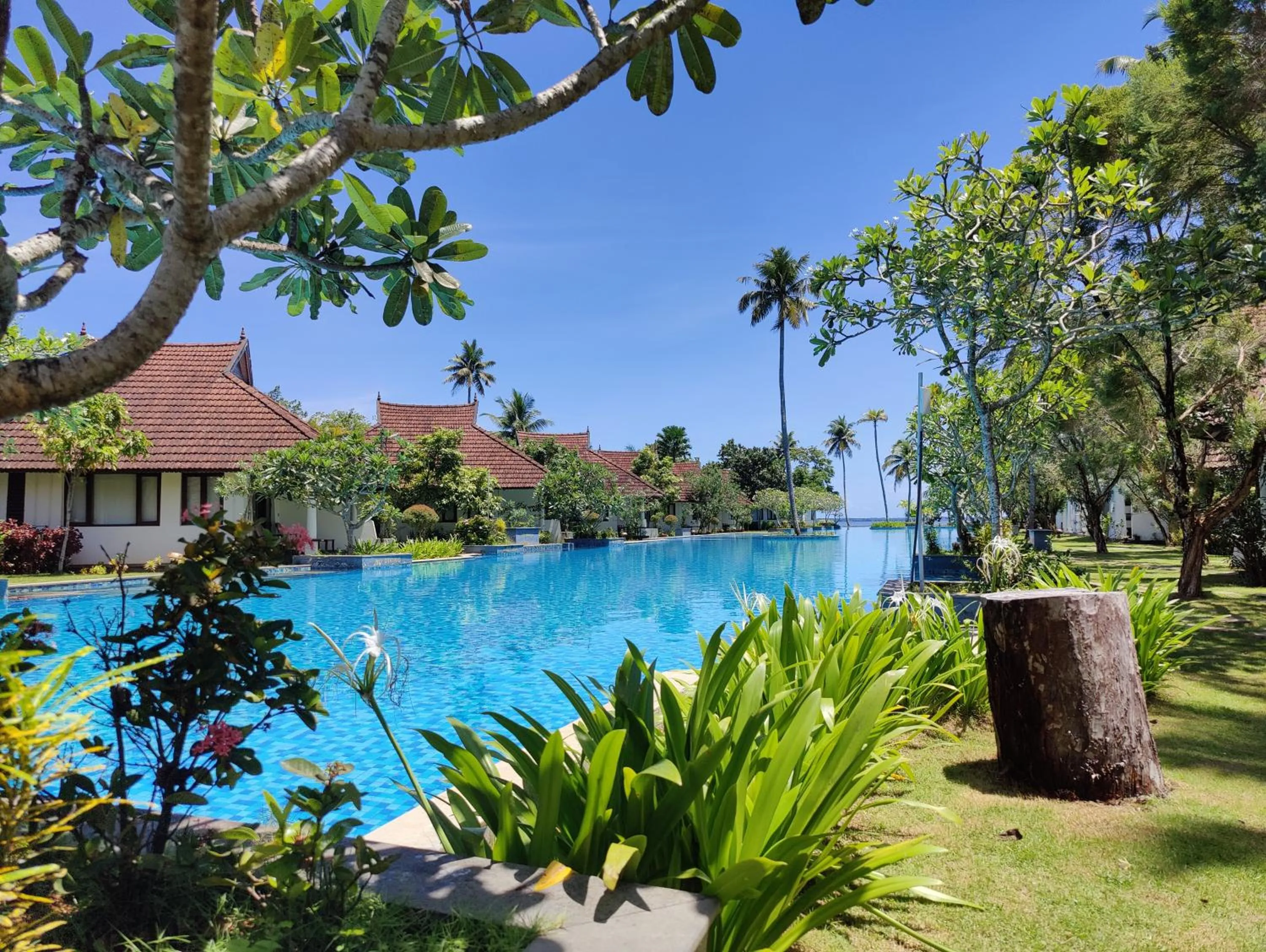 Pool view in Rhythm Kumarakom