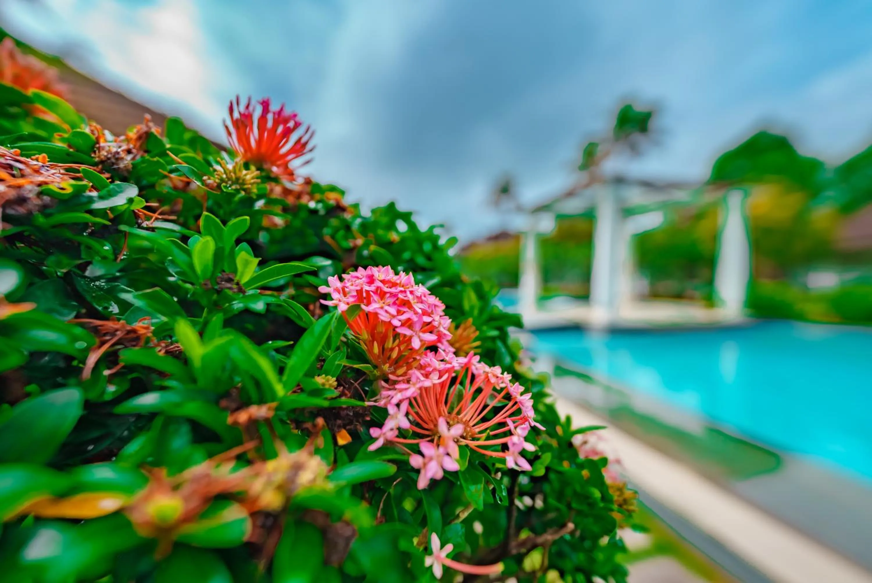 View (from property/room) in Rhythm Kumarakom
