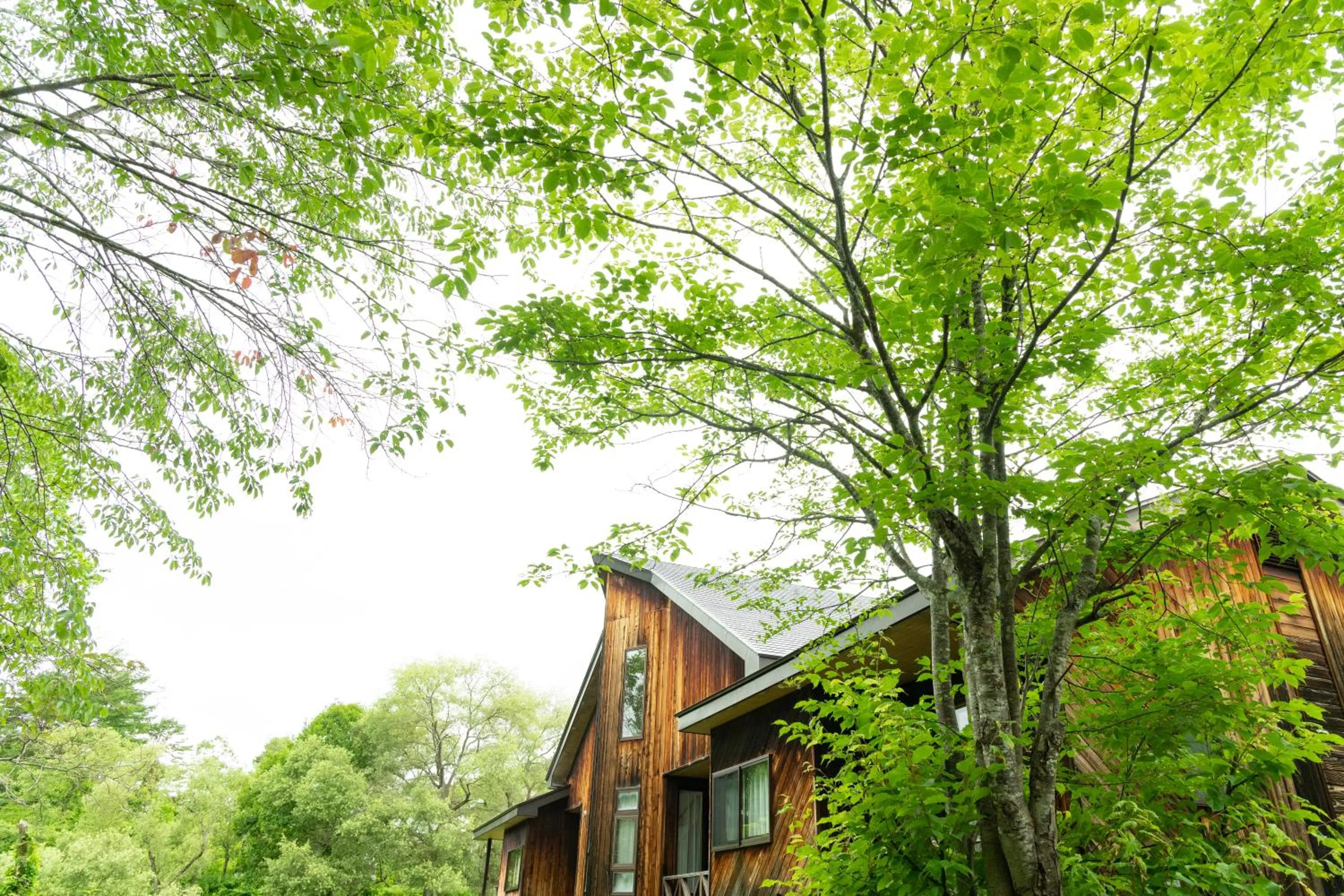 Property building in Nature Cottage Akabeko