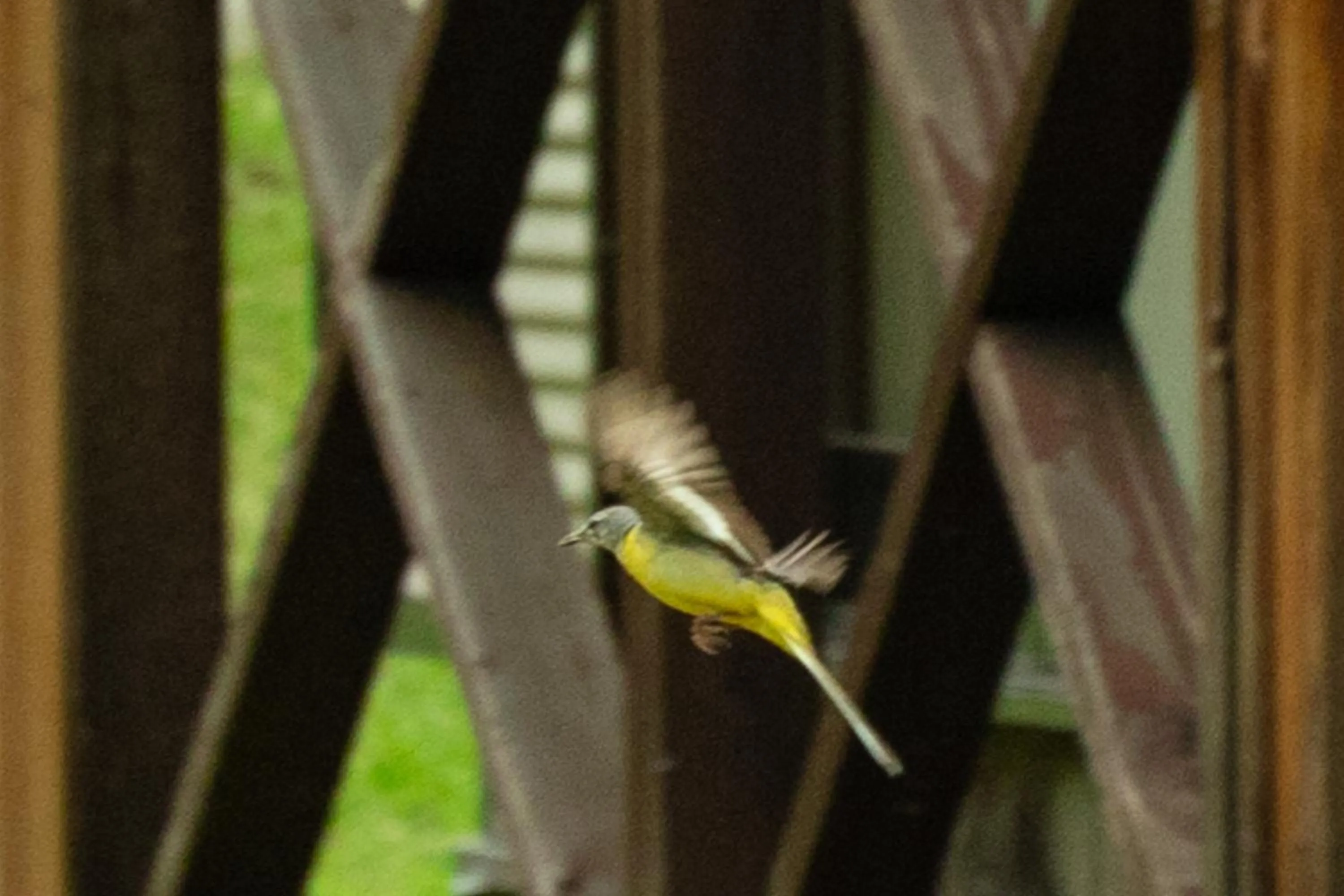 Day in Nature Cottage Akabeko