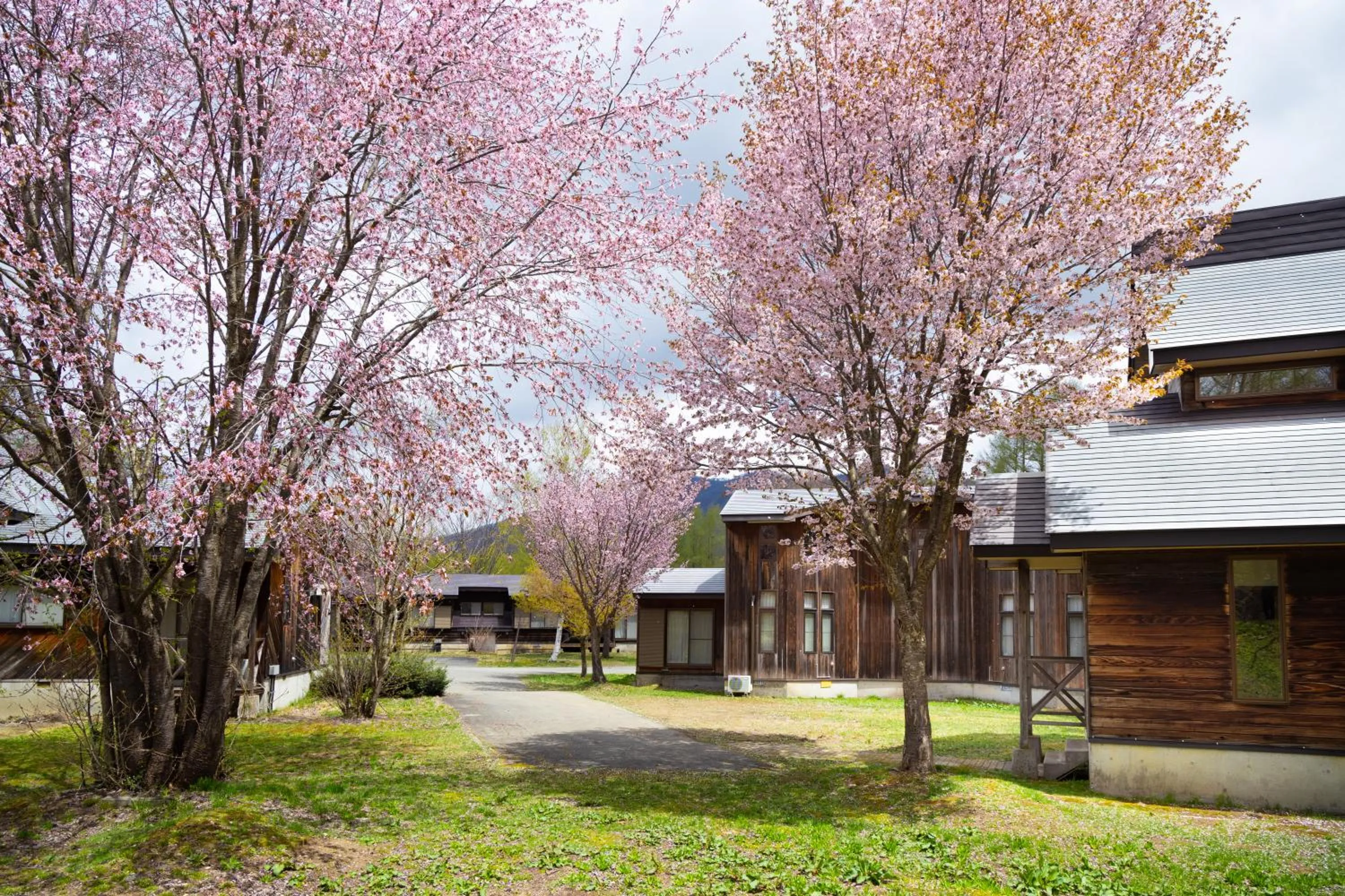 Property building in Nature Cottage Akabeko