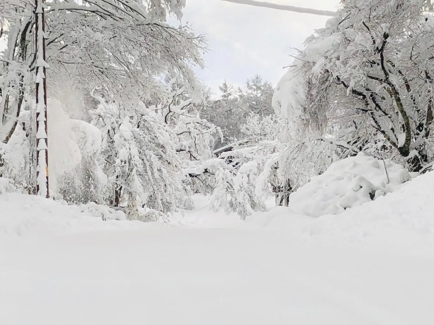 Property building in Nature Cottage Akabeko