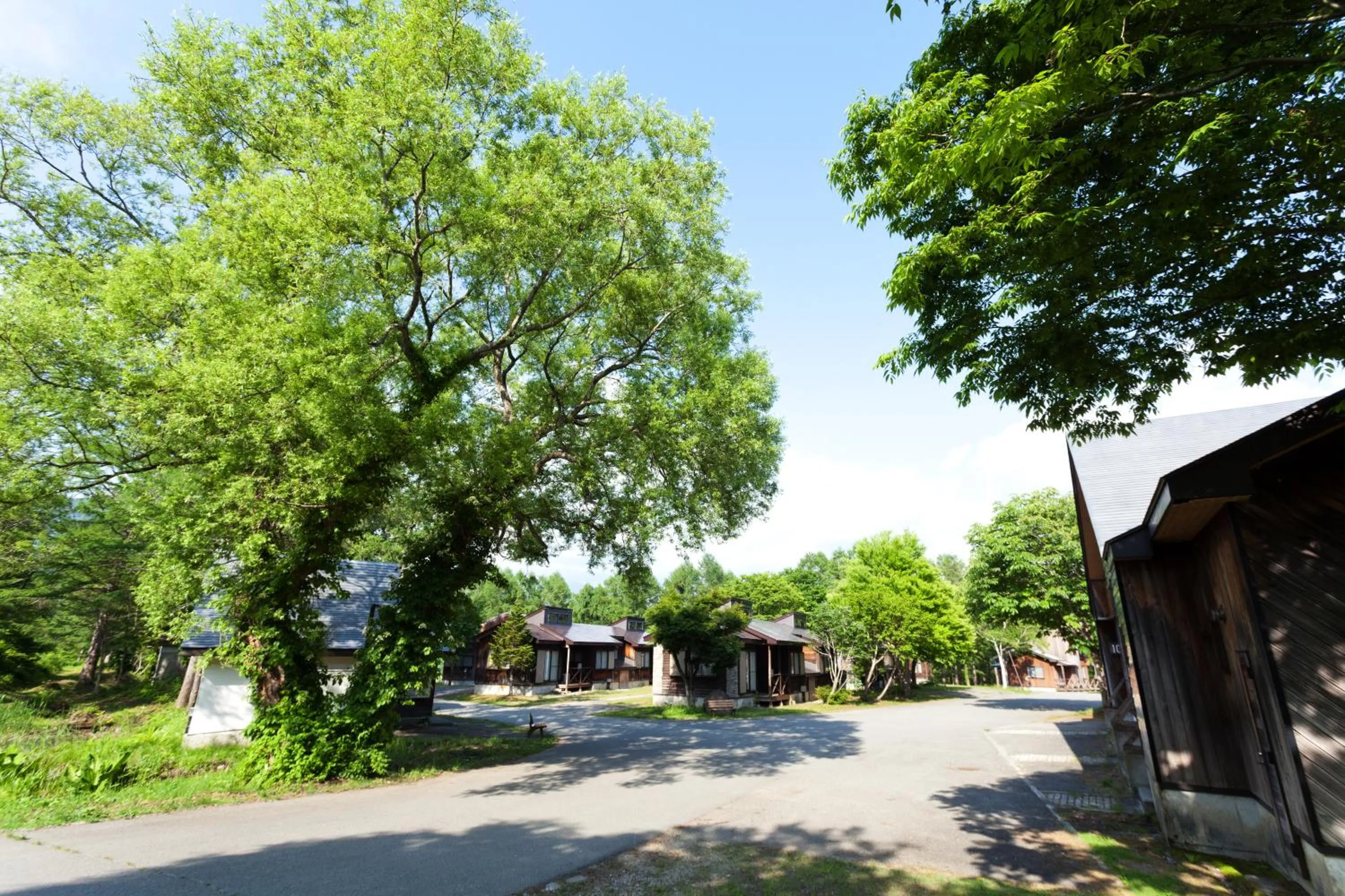 Day in Nature Cottage Akabeko