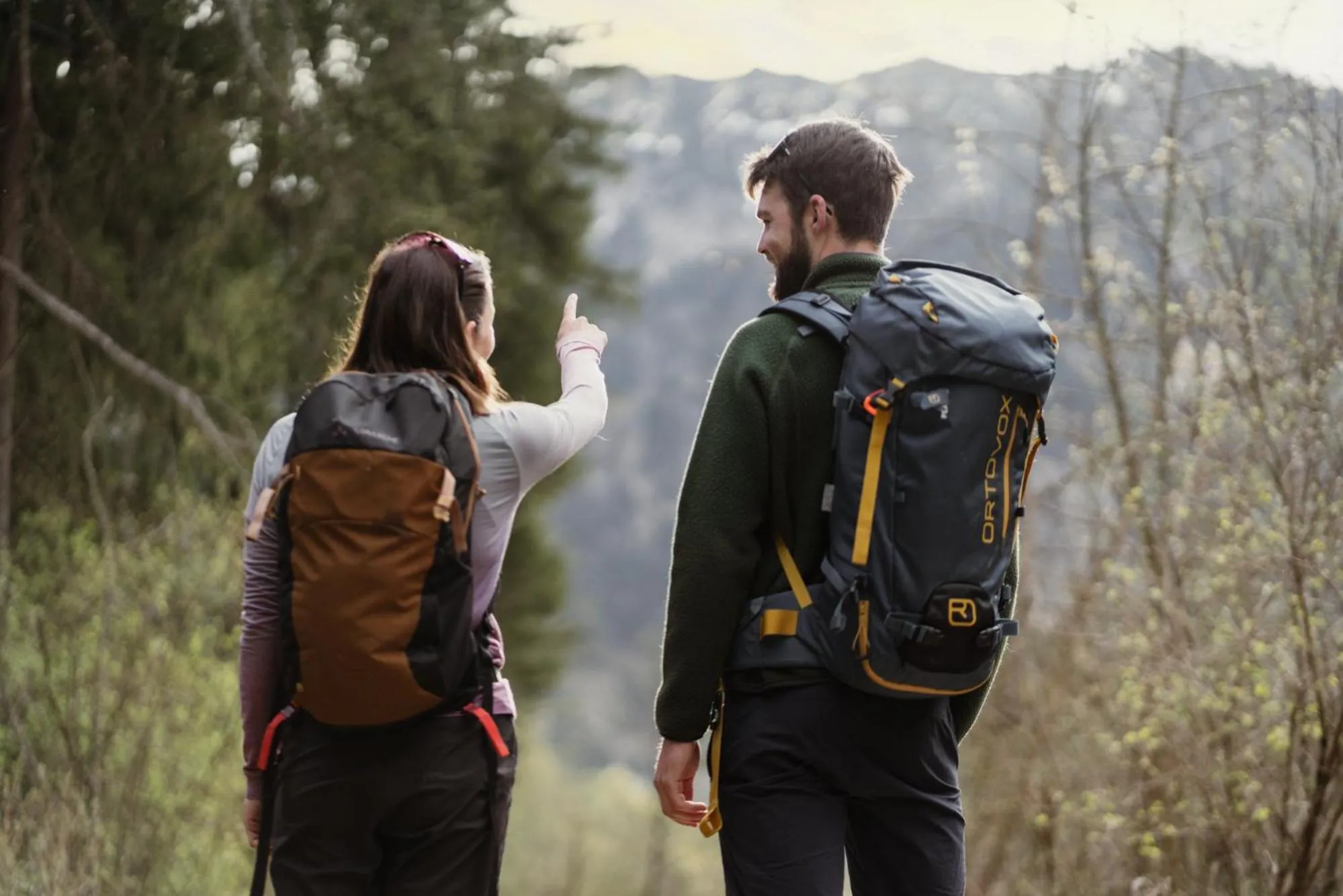 Mountain view in Hotel-Gasthof Der Wiesengrund