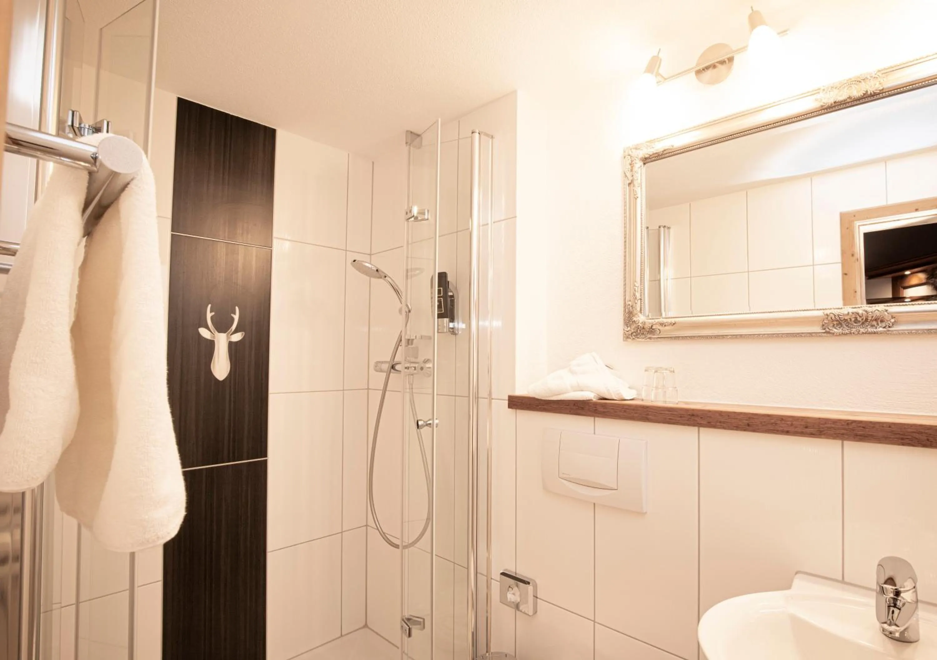 Shower in Hotel-Gasthof Der Wiesengrund