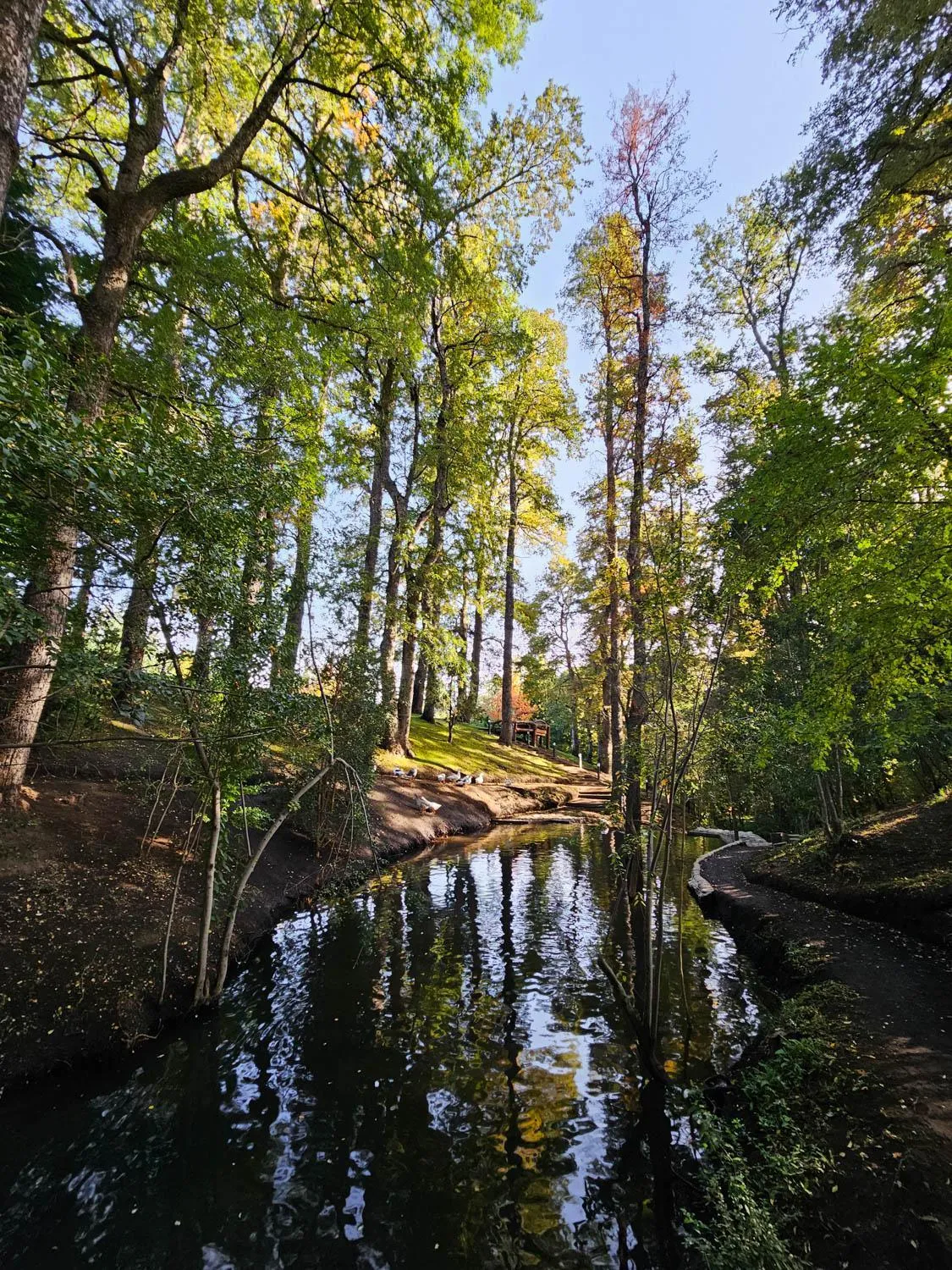 Day in Rotui Luxury Village