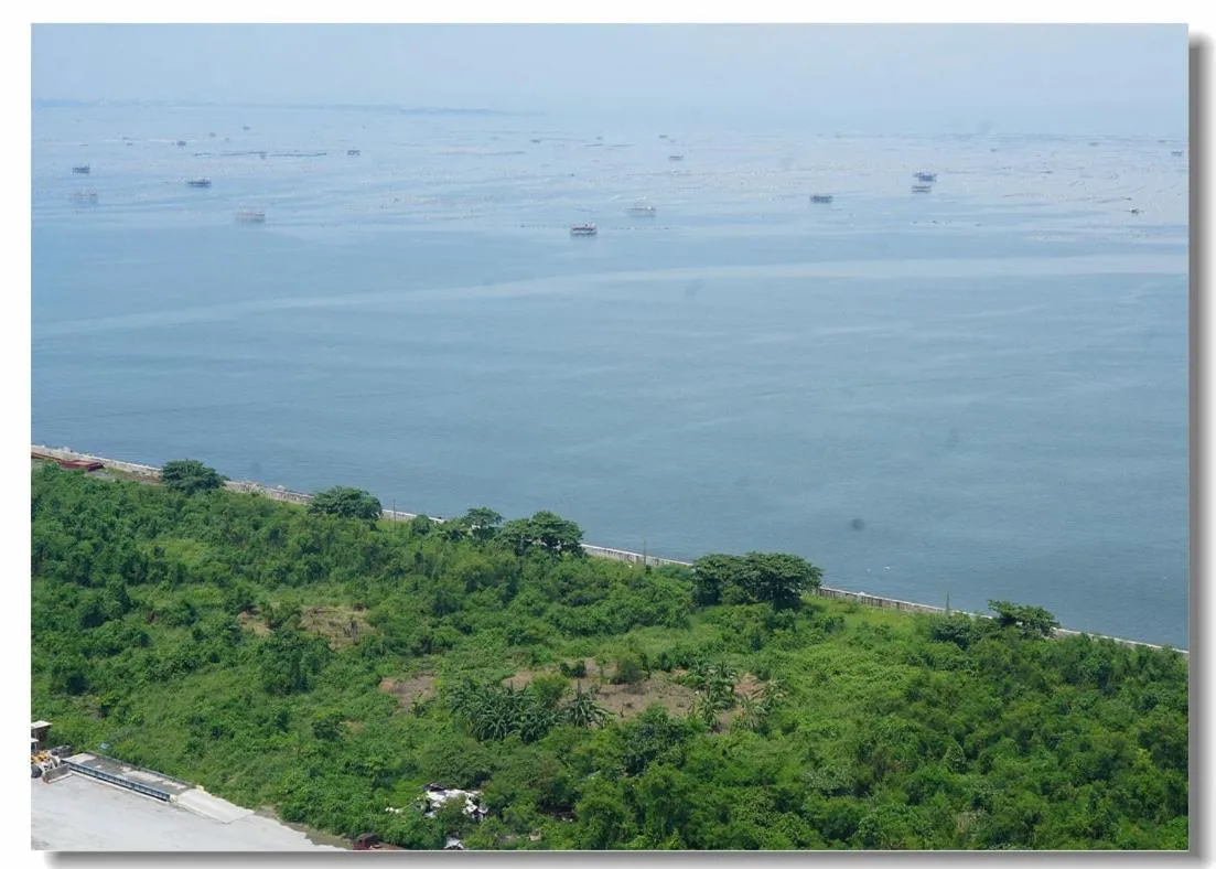 Sea view in Golden Seagulls Hotel