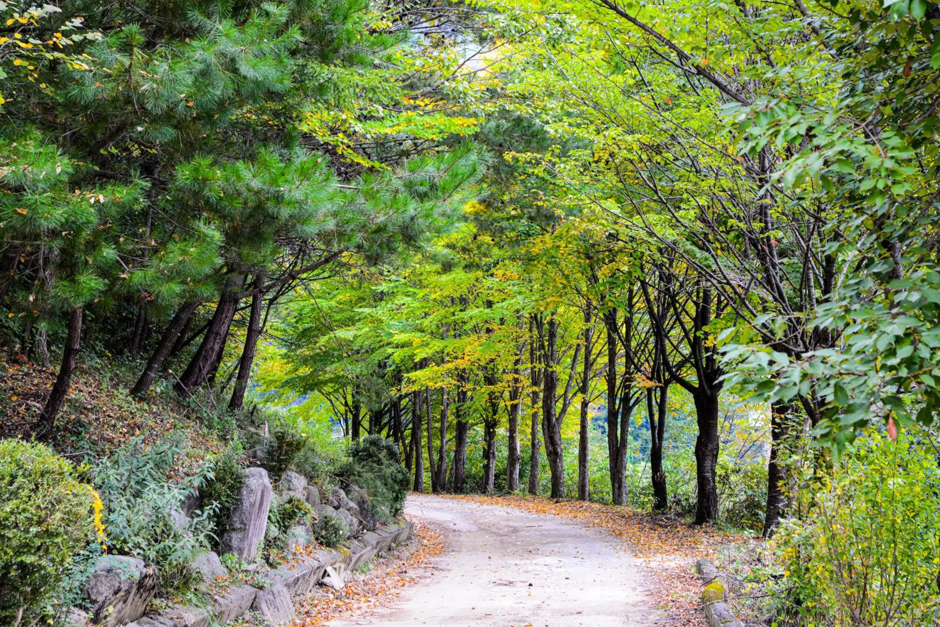 Pyeongchang The Meomum Pension