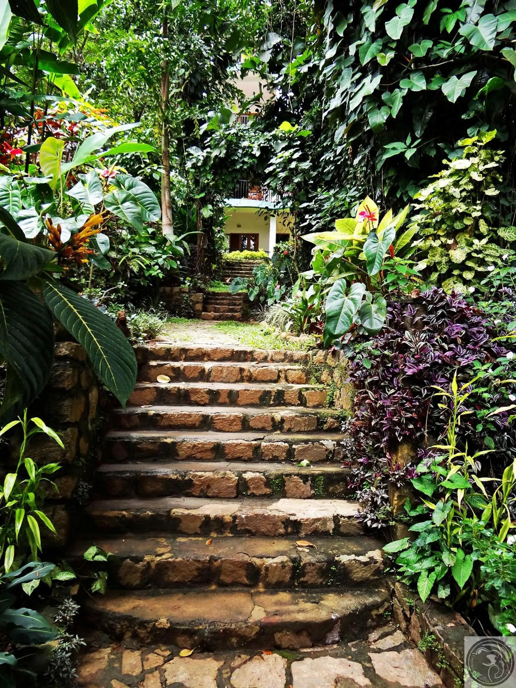 Property building in Chrissie's Hotel