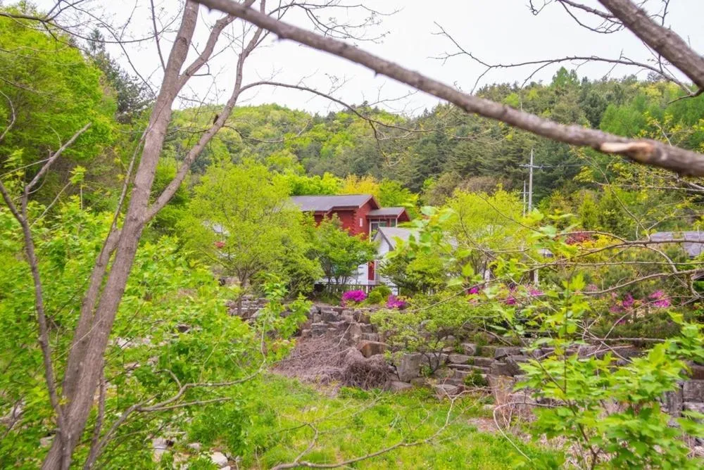 Pyeongchang Zermatt Pension Family, Couple