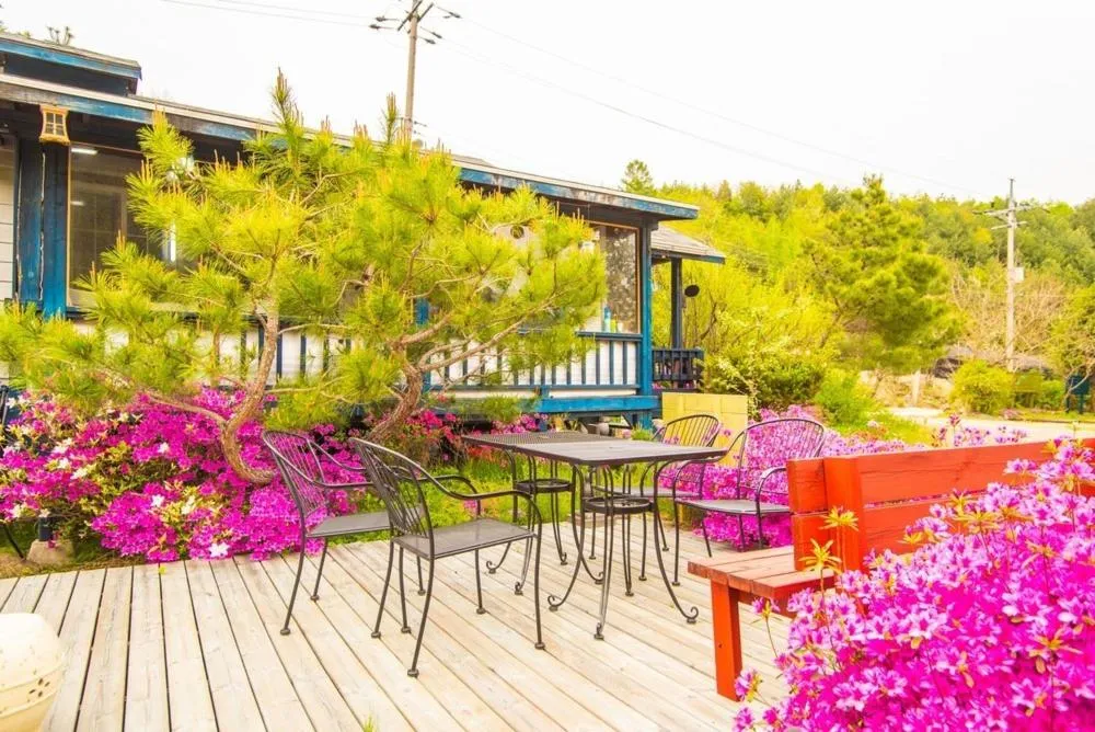 Pyeongchang Zermatt Pension Family, Couple