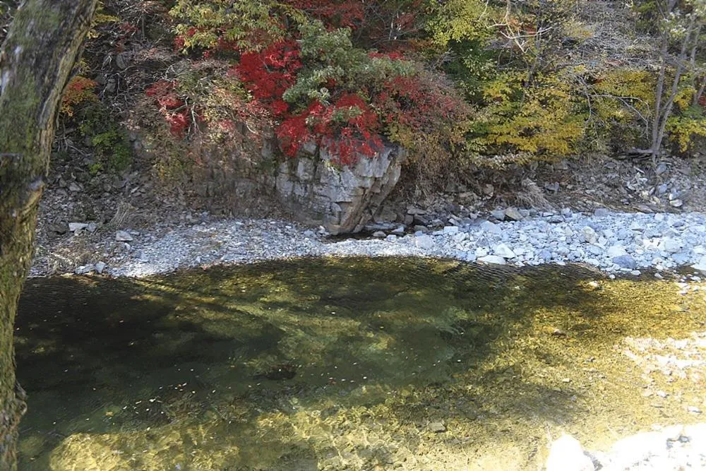Ulsan Soho Attic Pension