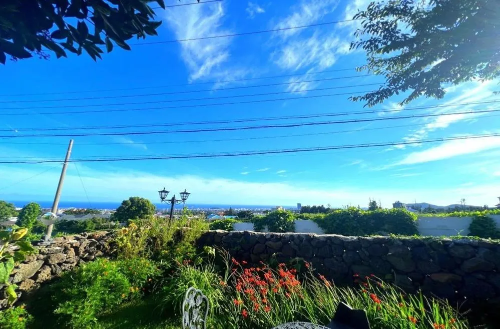 Jeju Haebyeol Private Pension Pet friendly