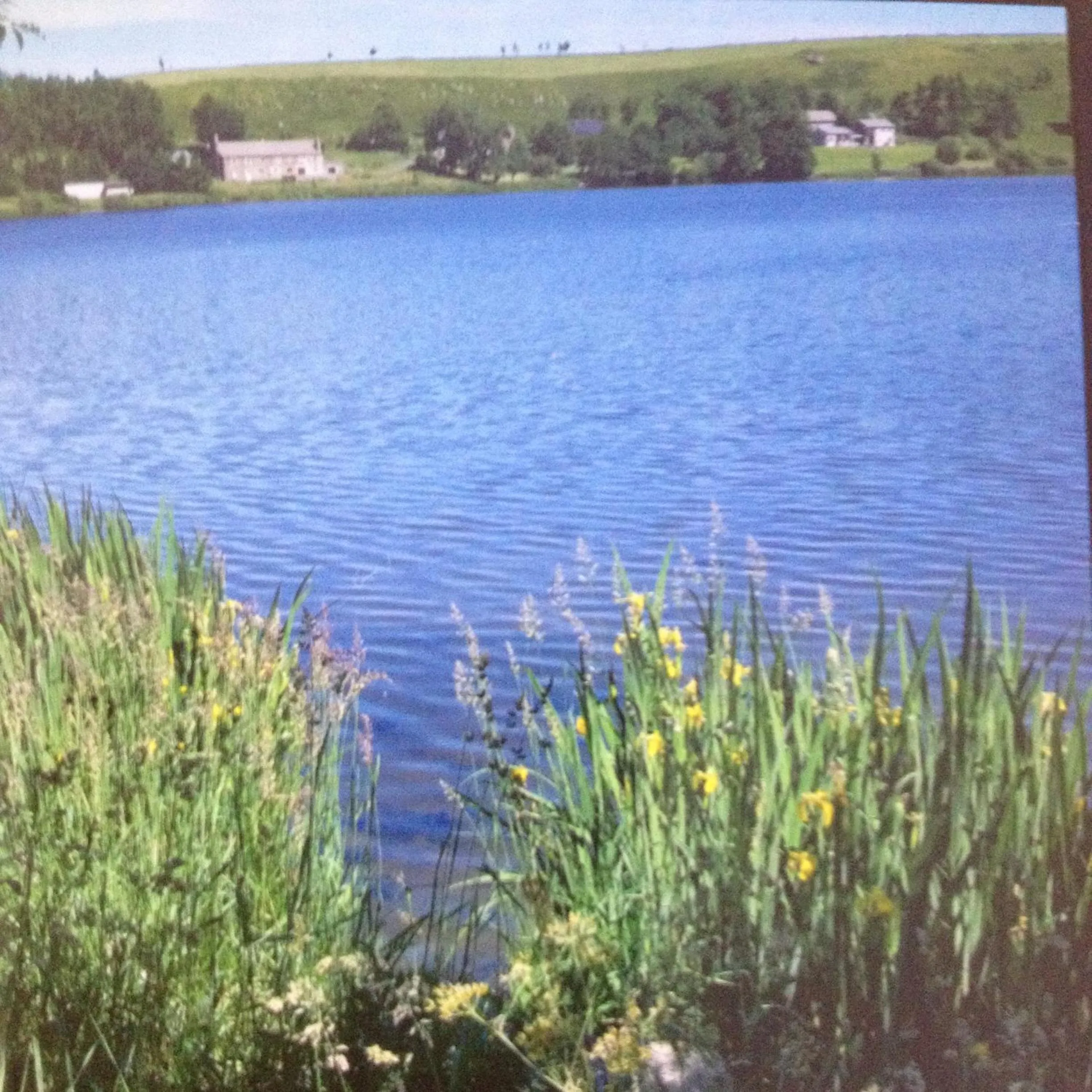 Lake view in VVF Haute Loire Saint-Julien-Chapteuil