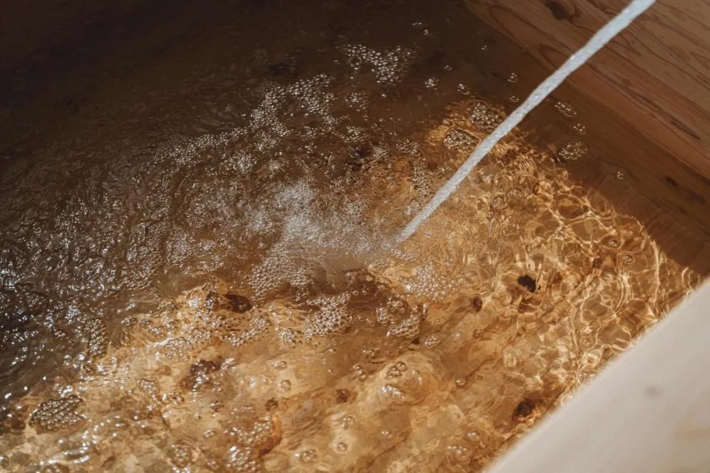 Pohang Madame Annette Pool Villa dogs allowed